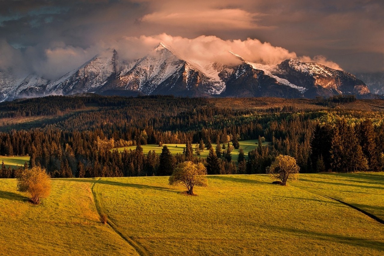 Snowy mountain peaks at sunset over a forest and meadow HD Wallpaper