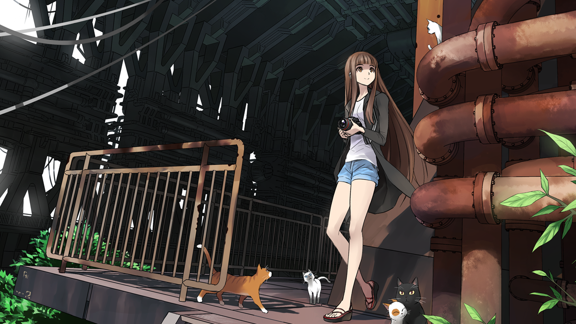 Anime girl with camera and cats in industrial setting HD Wallpaper