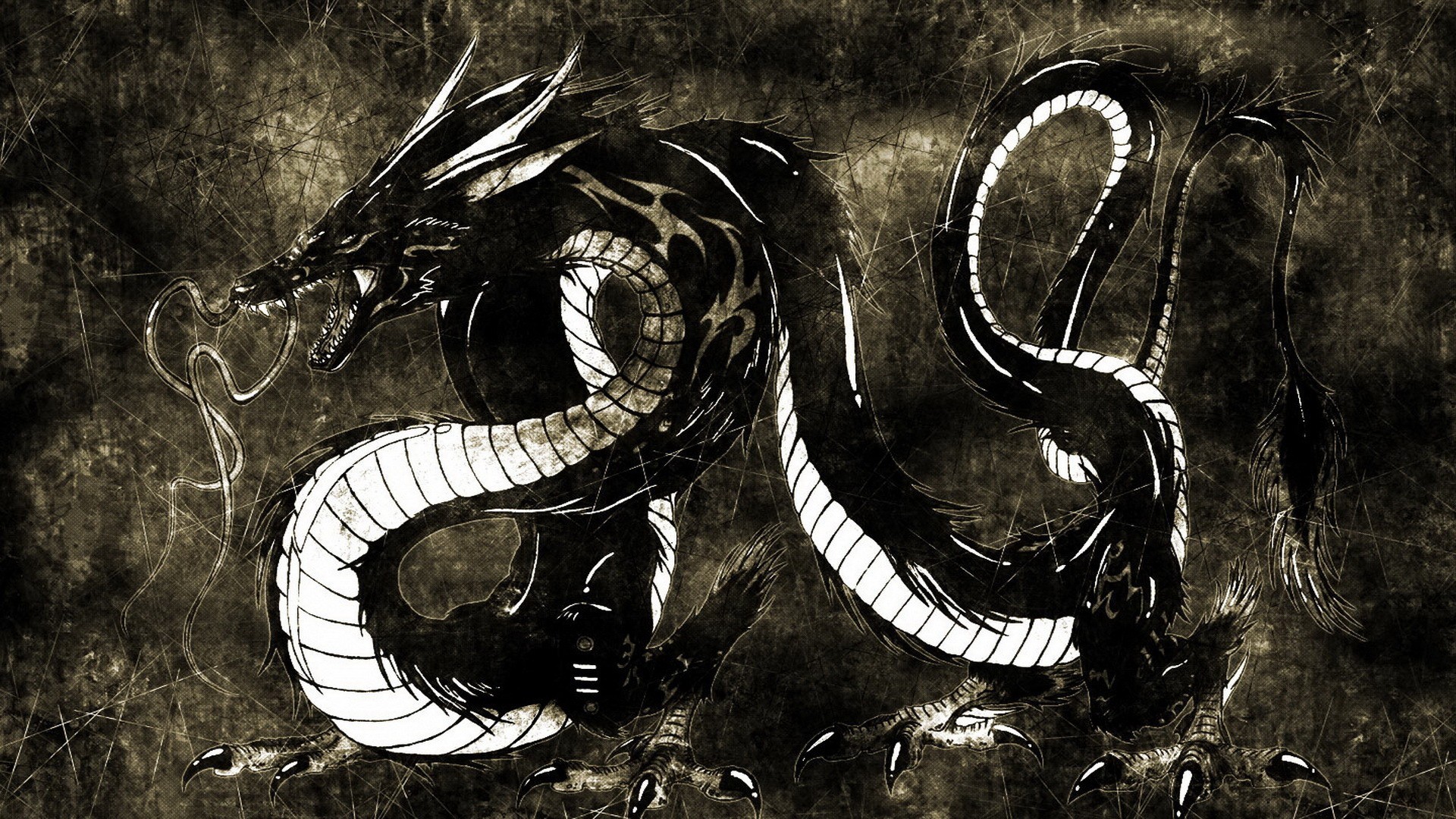 Black and white dragon illustration HD Wallpaper