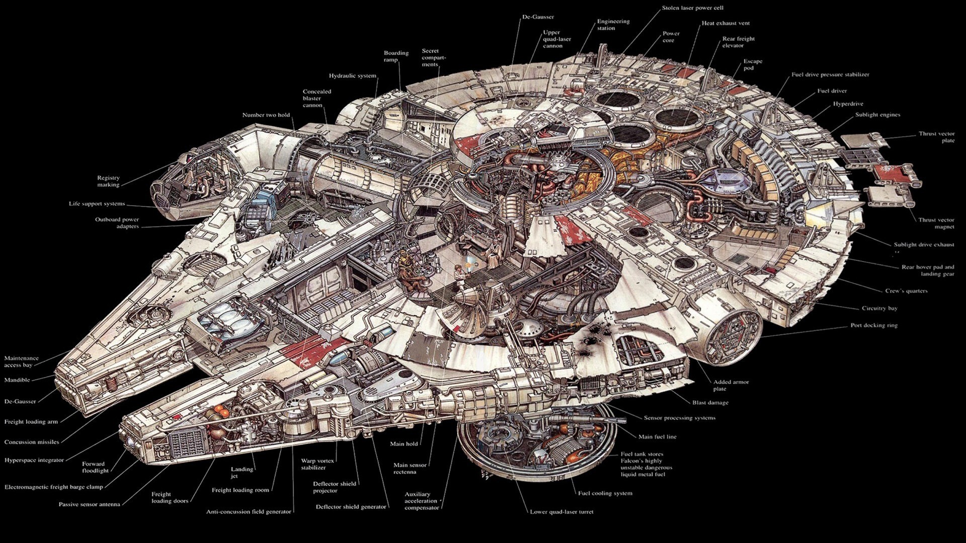 Millennium Falcon Cutaway Diagram HD Wallpaper