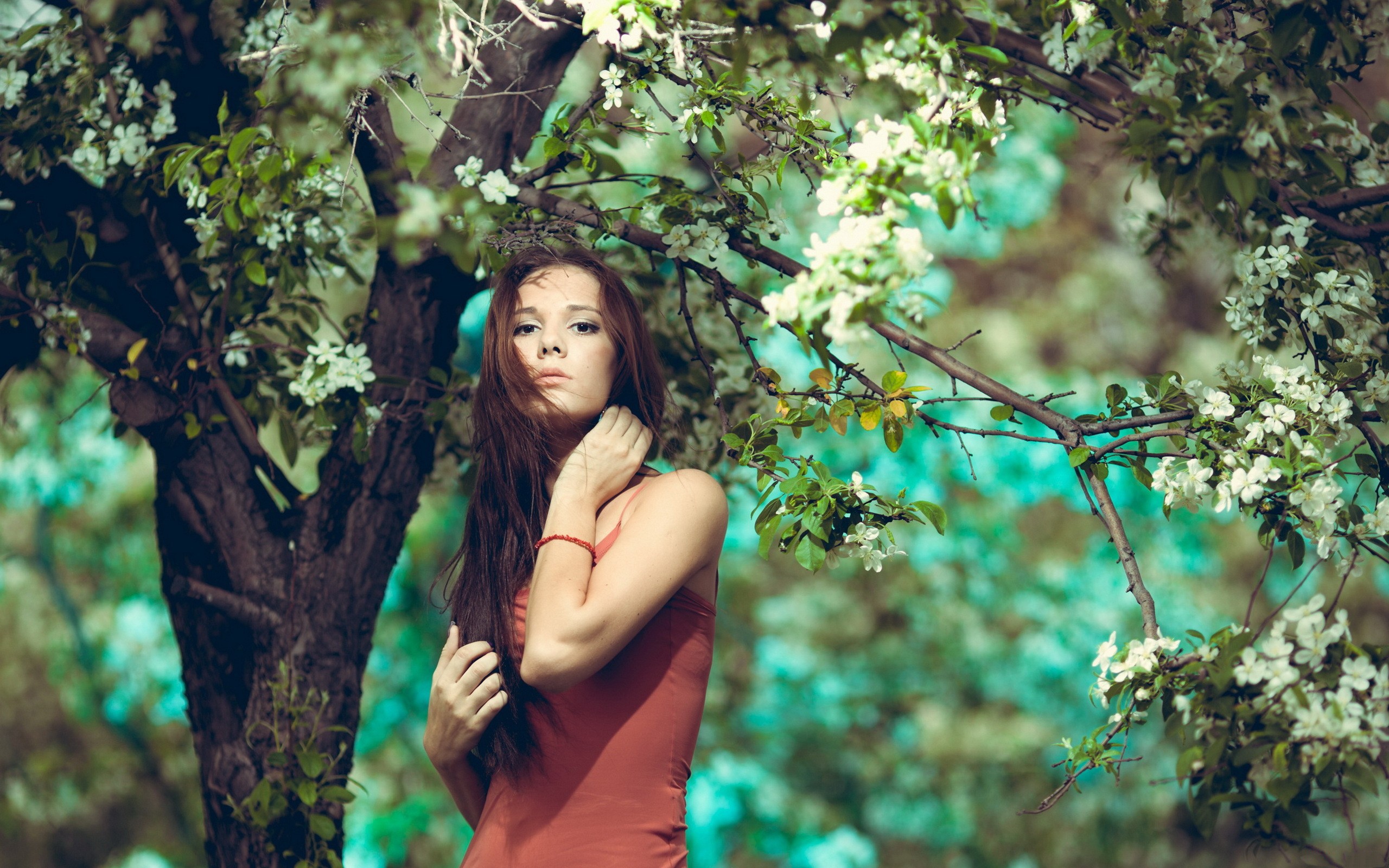 Woman with long brown hair in a red dress under a blooming tree HD Wallpaper