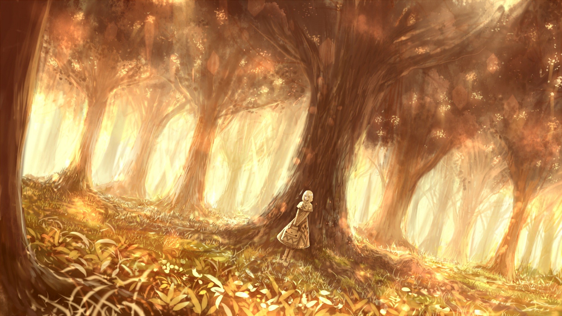 Anime girl in a sunlit fantasy forest HD Wallpaper