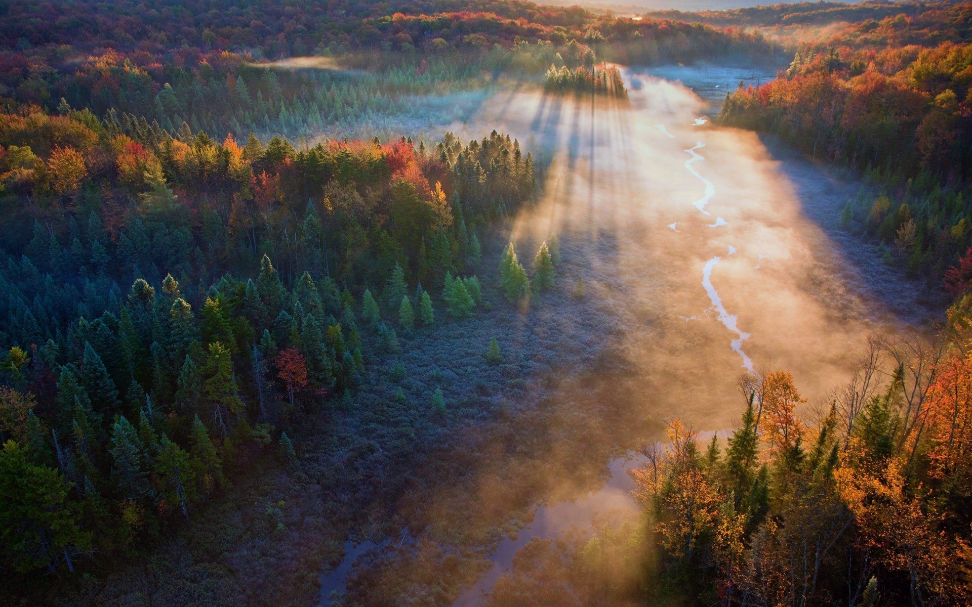field, aerial view, fall, trees, nature, forest, sun rays, river, landscape, mist HD Wallpaper