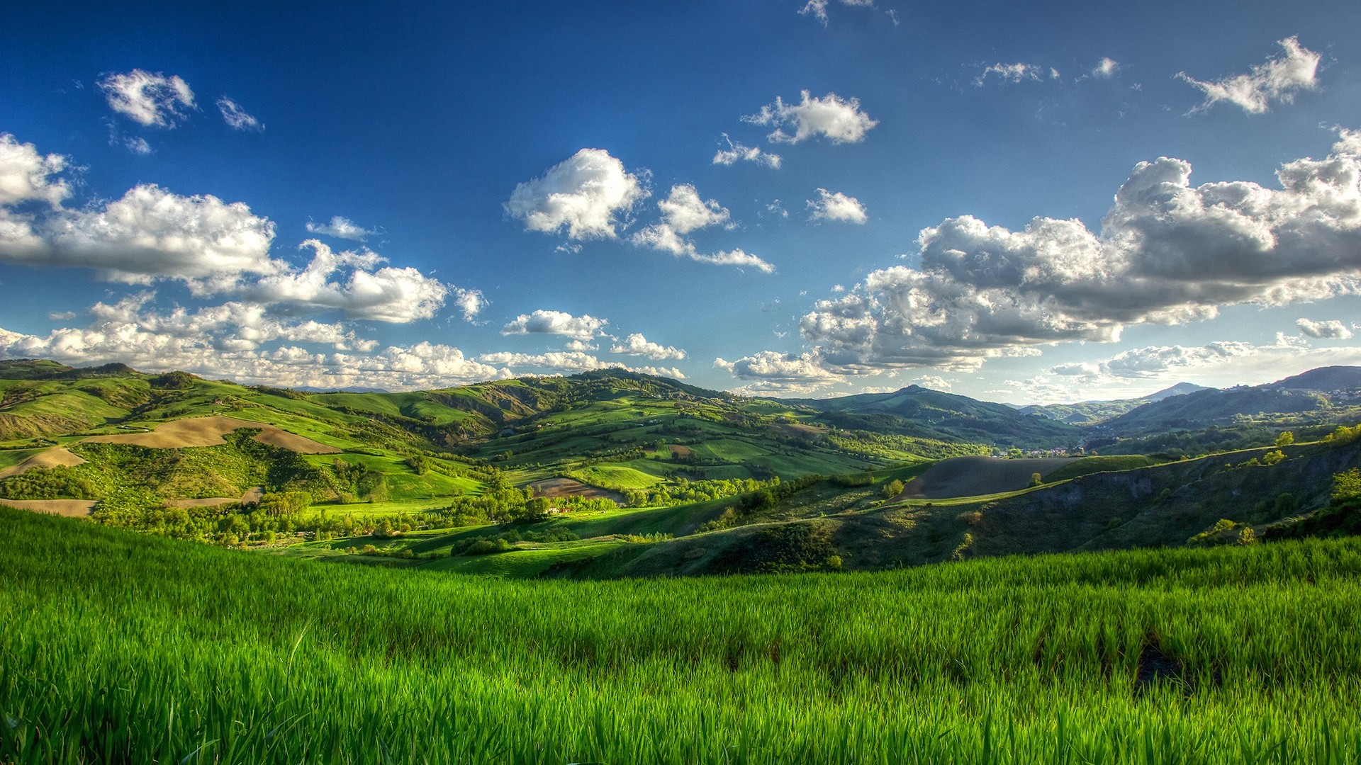 Green rolling hills under a blue sky with clouds HD Wallpaper