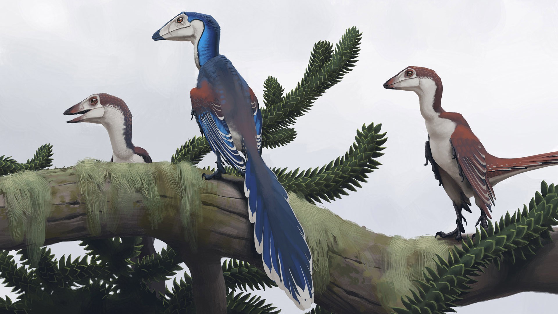 Simon Stålenhag's dinosaurs on a tree branch HD Wallpaper