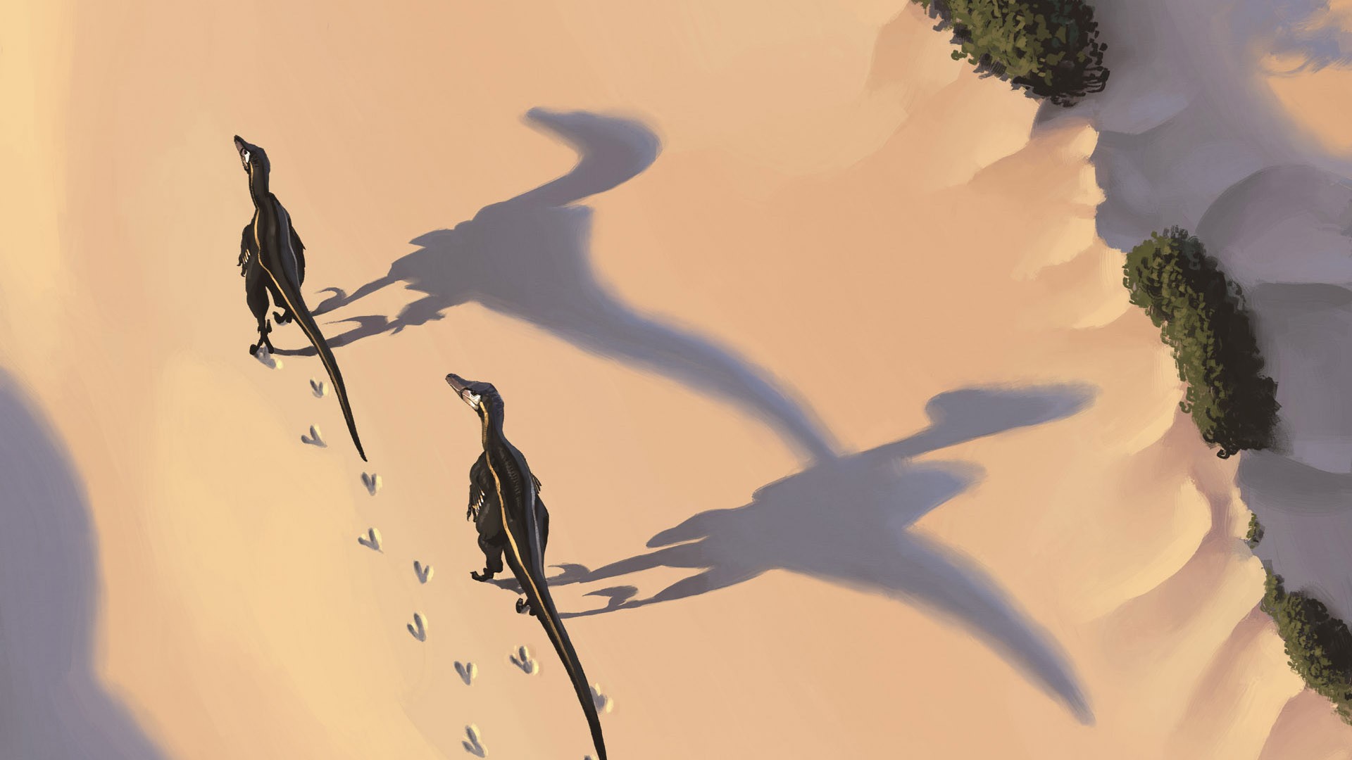 Dinosaurs walking in a sandy landscape HD Wallpaper