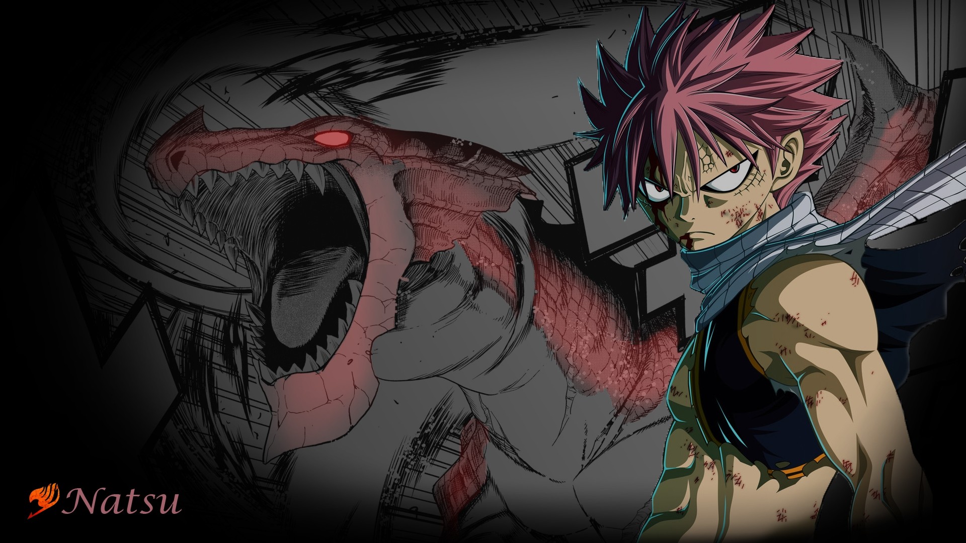 Fairy Tail Natsu and Dragon HD Wallpaper