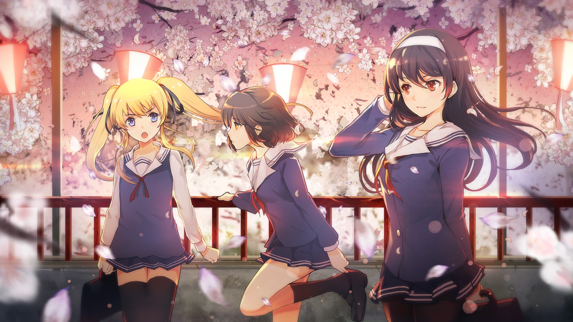 Saenai Heroine no Sodatekata girls under cherry blossoms HD Wallpaper