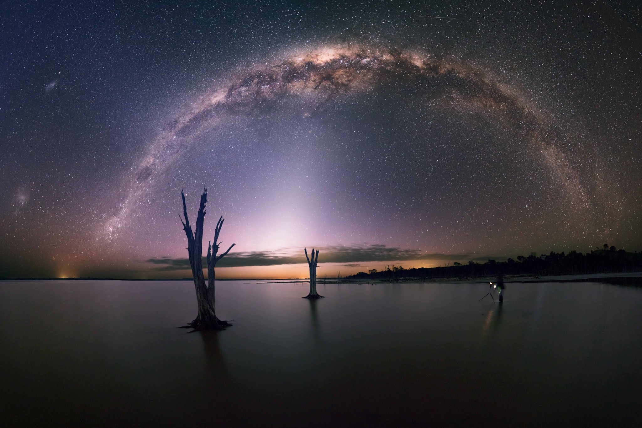 Milky Way over dead trees in a lake HD Wallpaper
