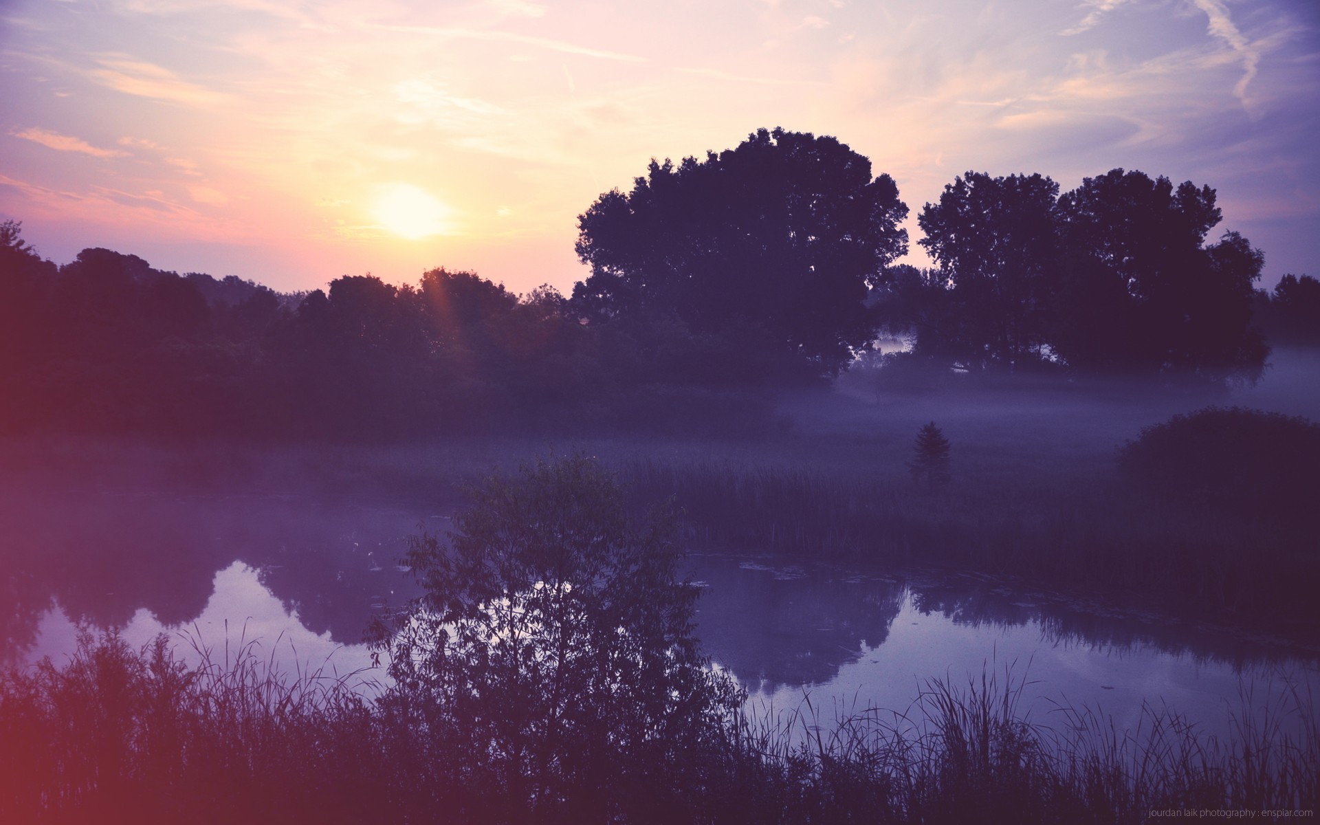 Misty lake landscape at sunrise with trees HD Wallpaper