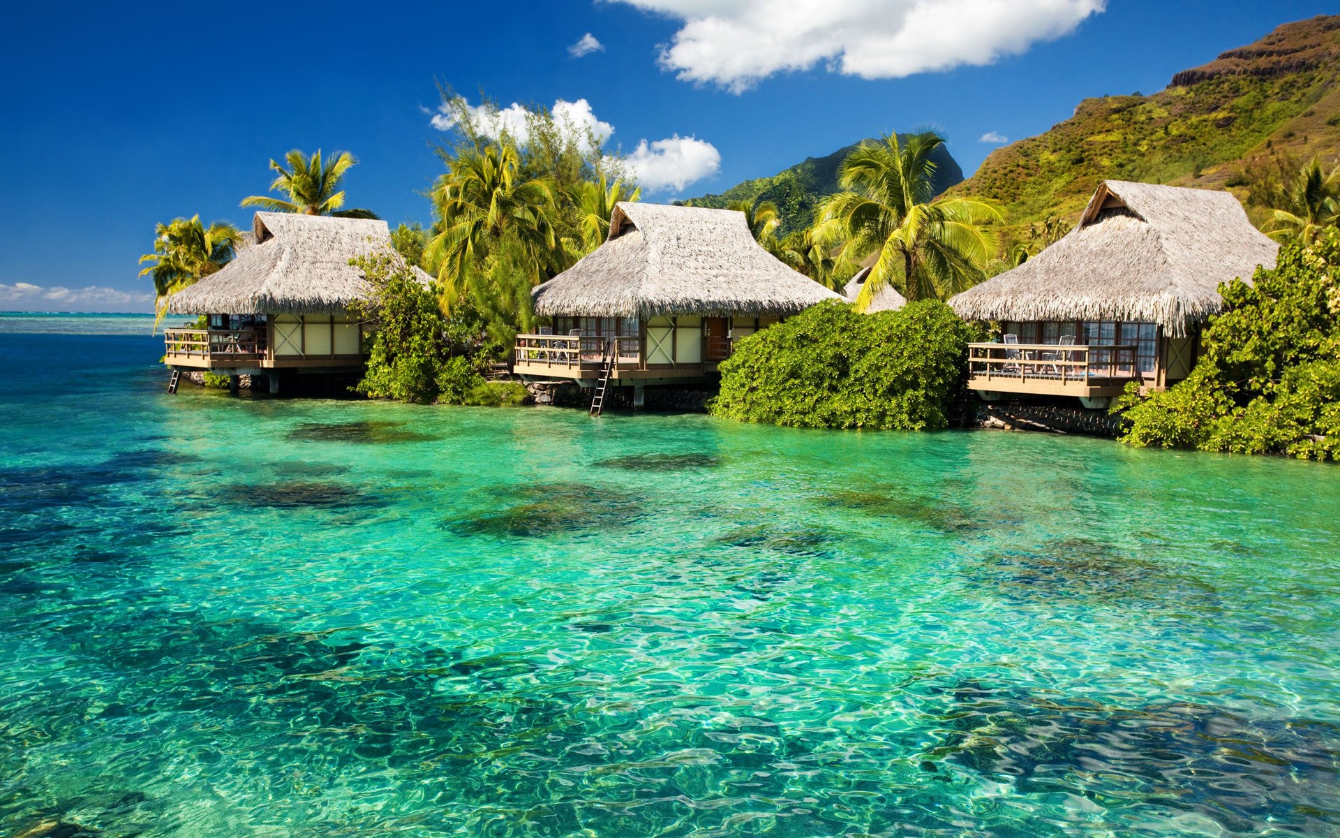 Overwater bungalows in a tropical lagoon with mountains HD Wallpaper