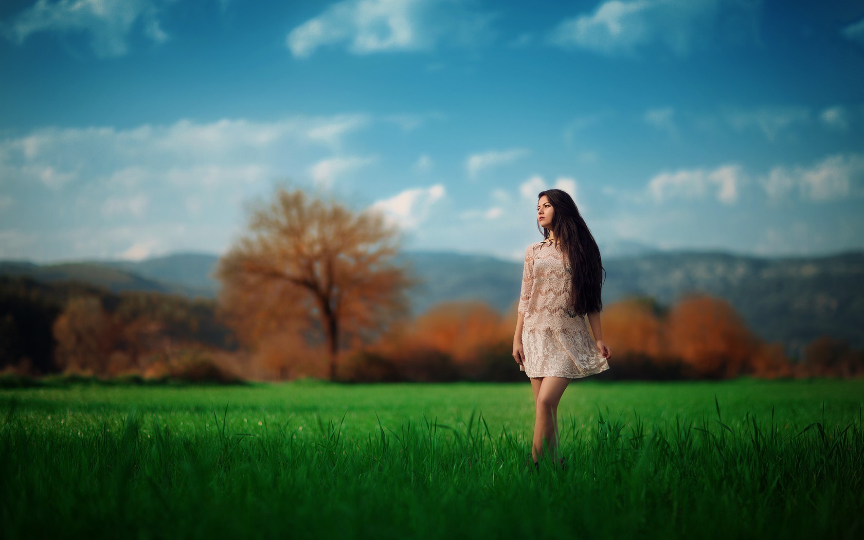 Woman in a lace dress in a green field HD Wallpaper