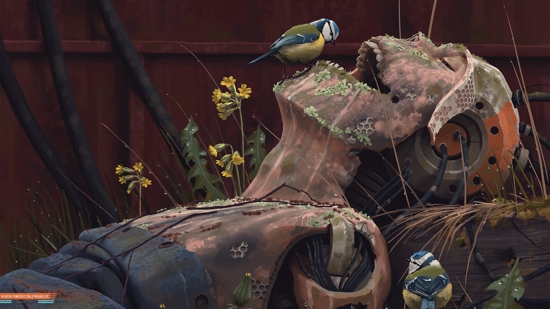 Robot body overgrown with plants and birds HD Wallpaper