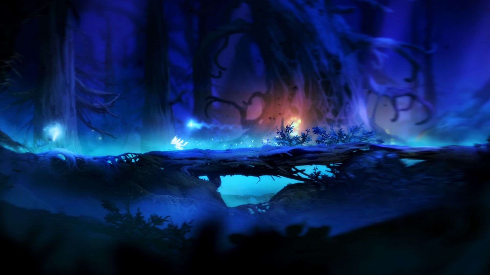 Ori and the Blind Forest fantasy art HD Wallpaper