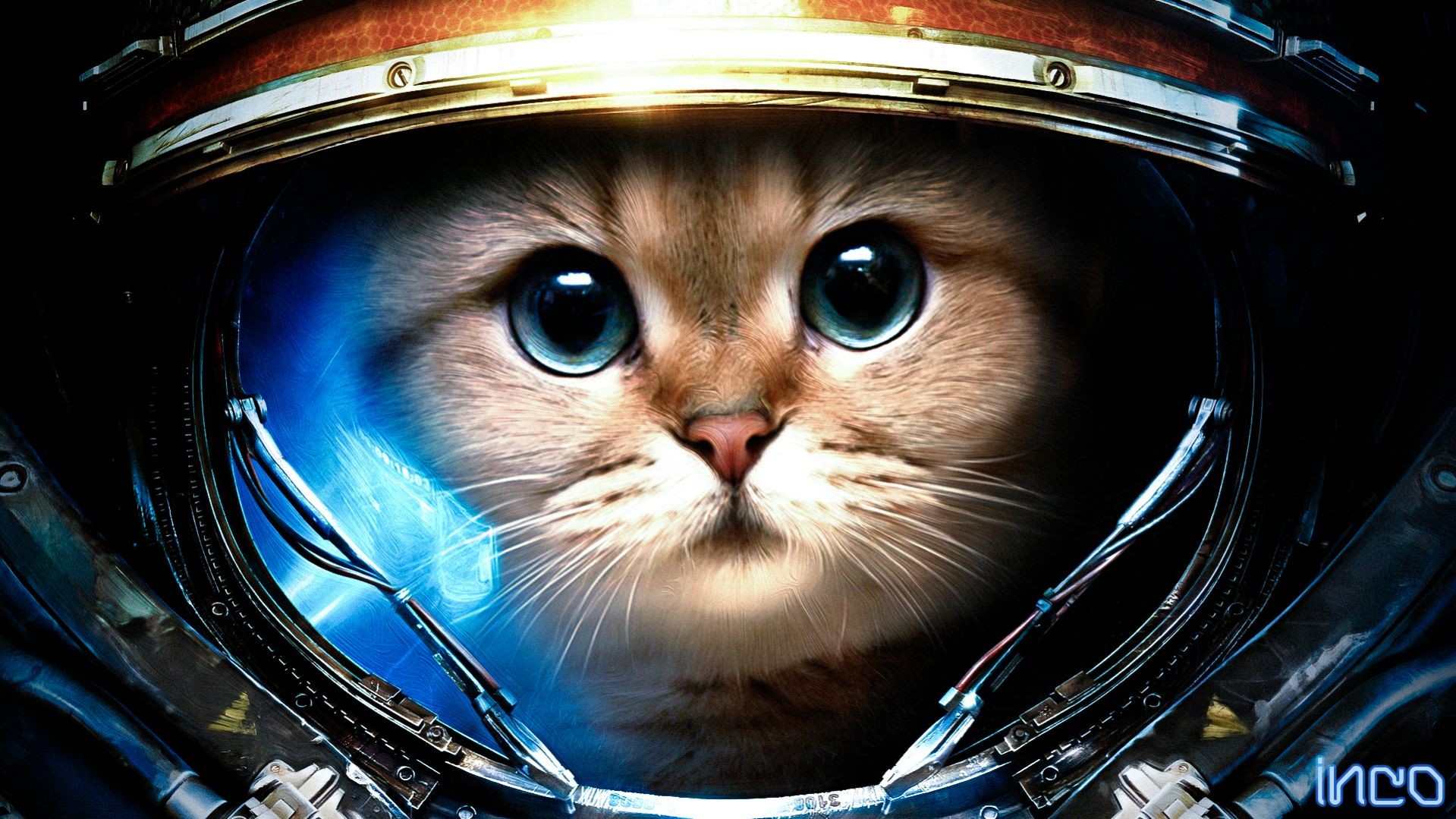 Cat in a Starcraft II helmet HD Wallpaper