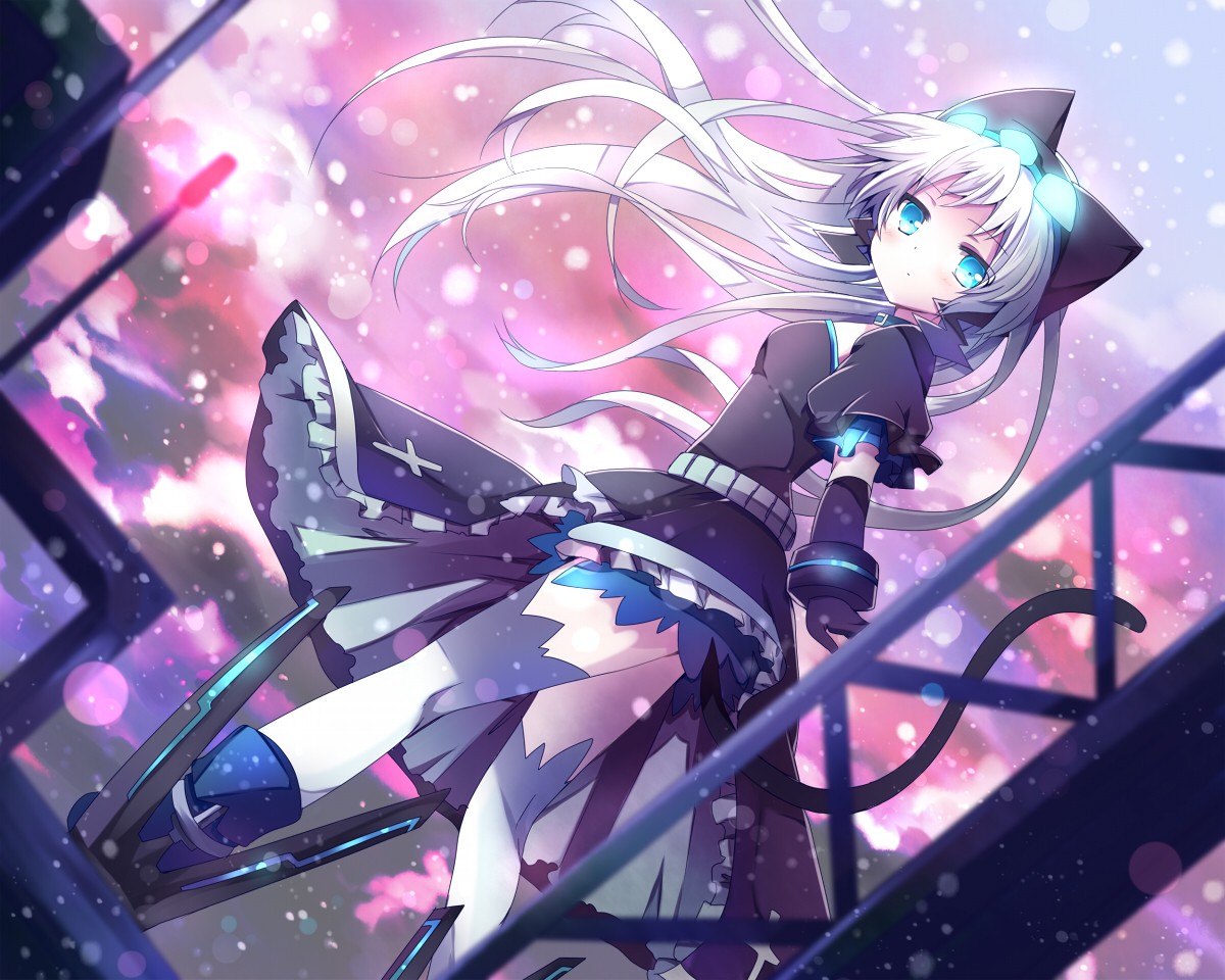 Anime girl with white hair and cat ears HD Wallpaper