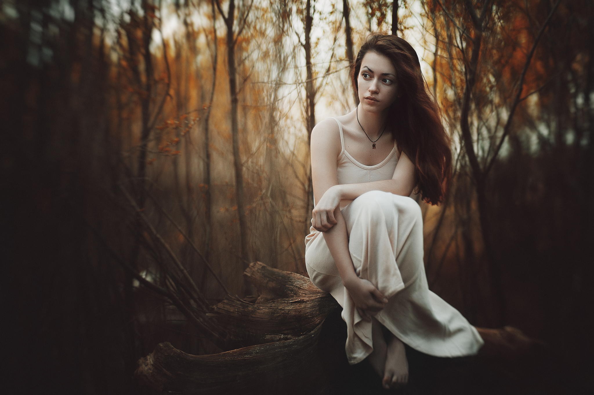Woman sitting on a log in a forest HD Wallpaper