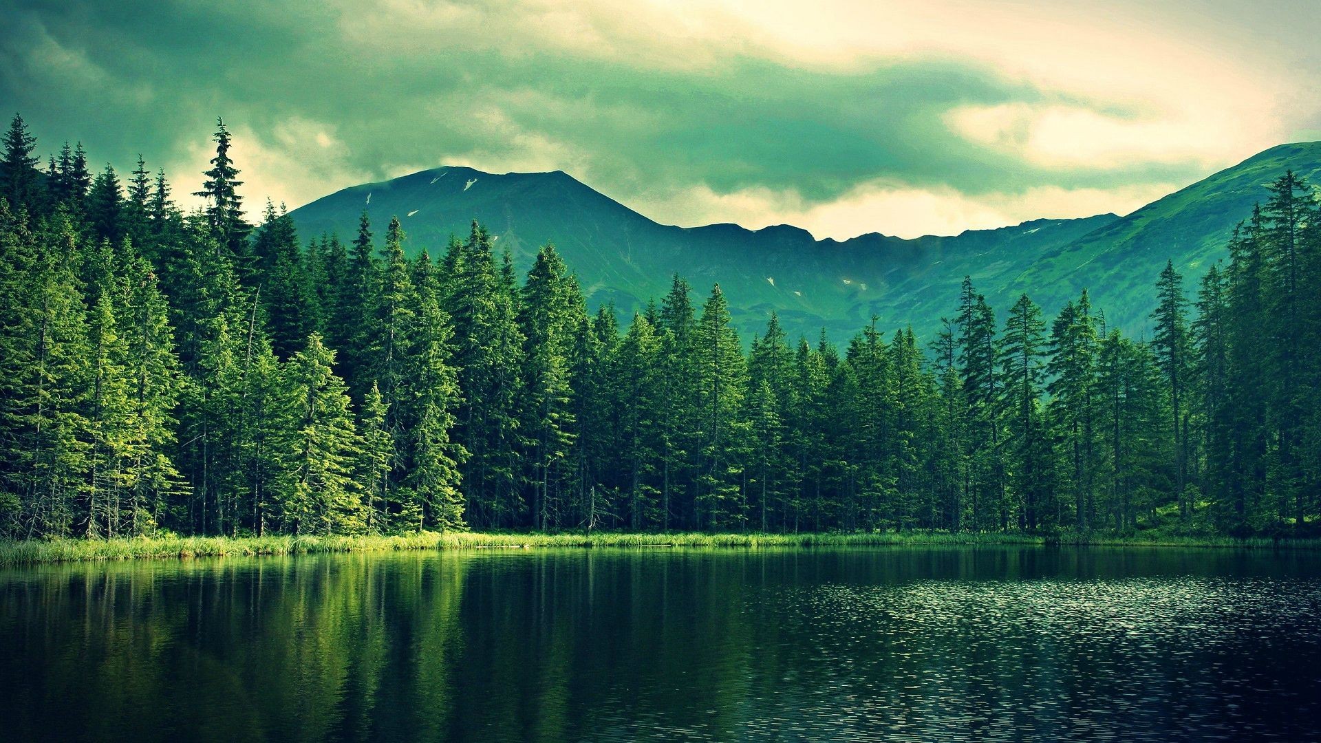 Mountains and forest reflected in a lake HD Wallpaper