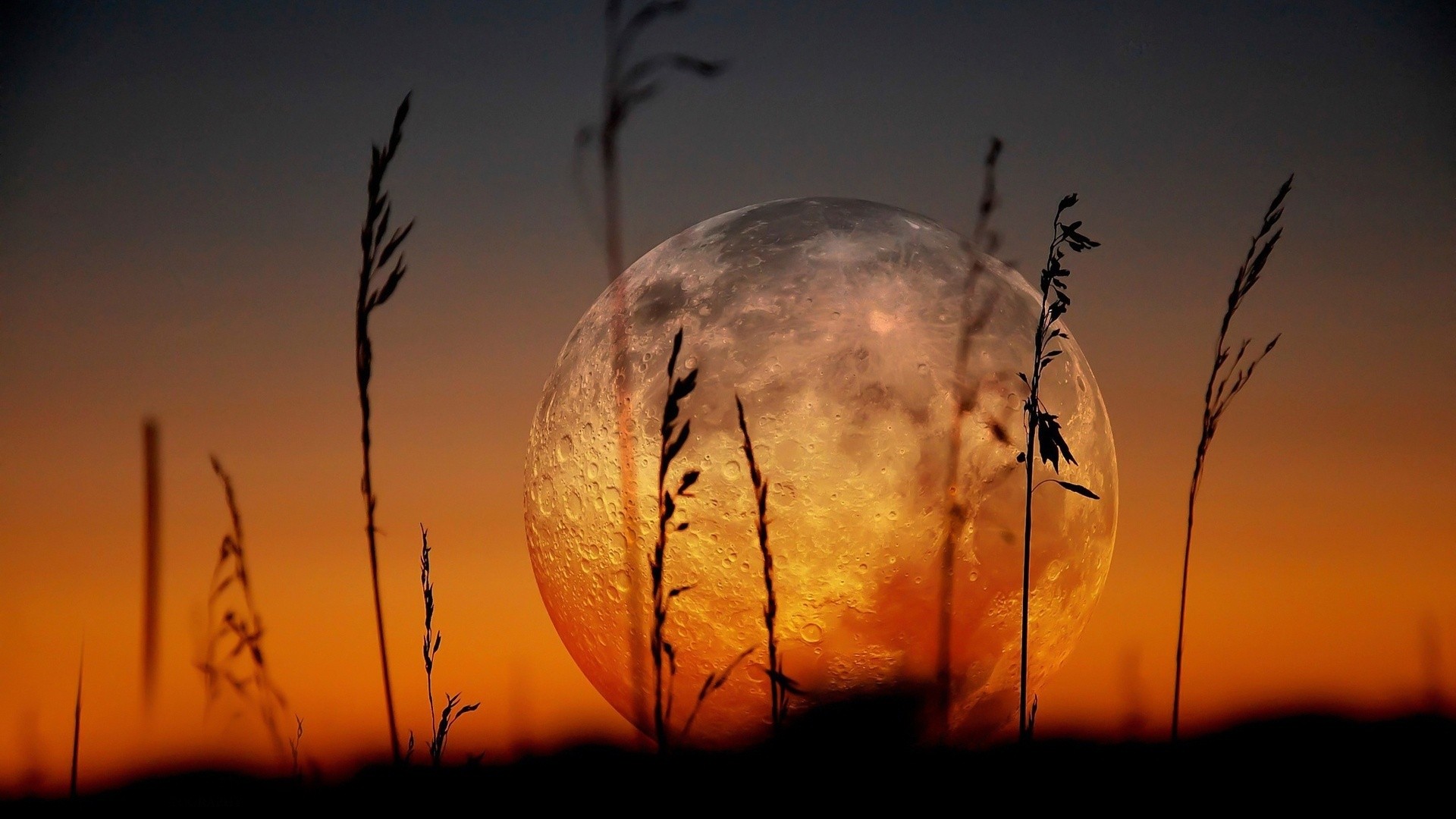 Full moon rising over a grassy field at sunset HD Wallpaper