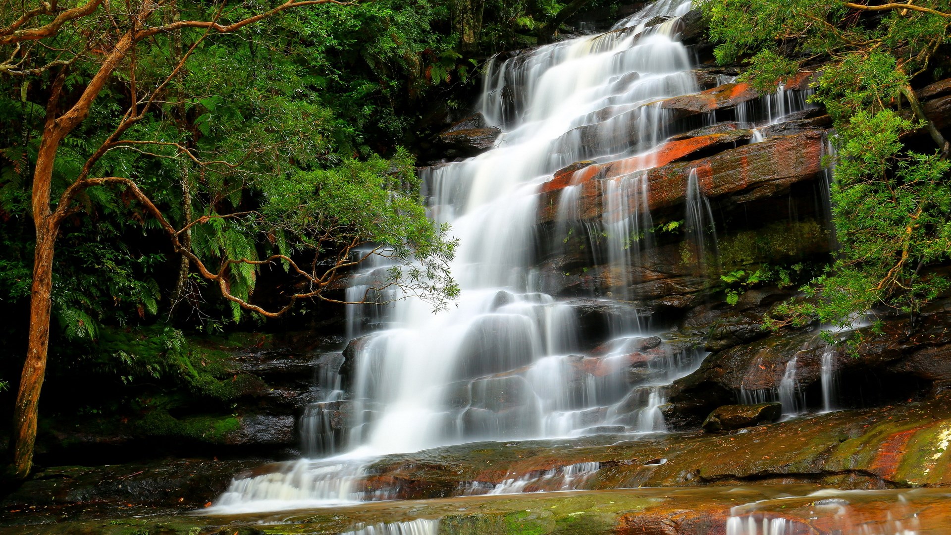 Cascading waterfall in a lush forest HD Wallpaper