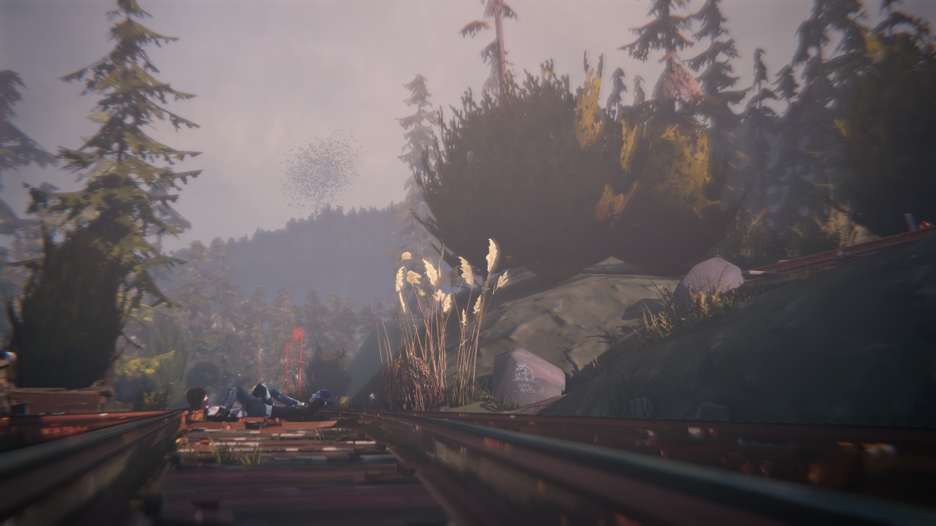 Life Is Strange: Train Tracks in Forest HD Wallpaper