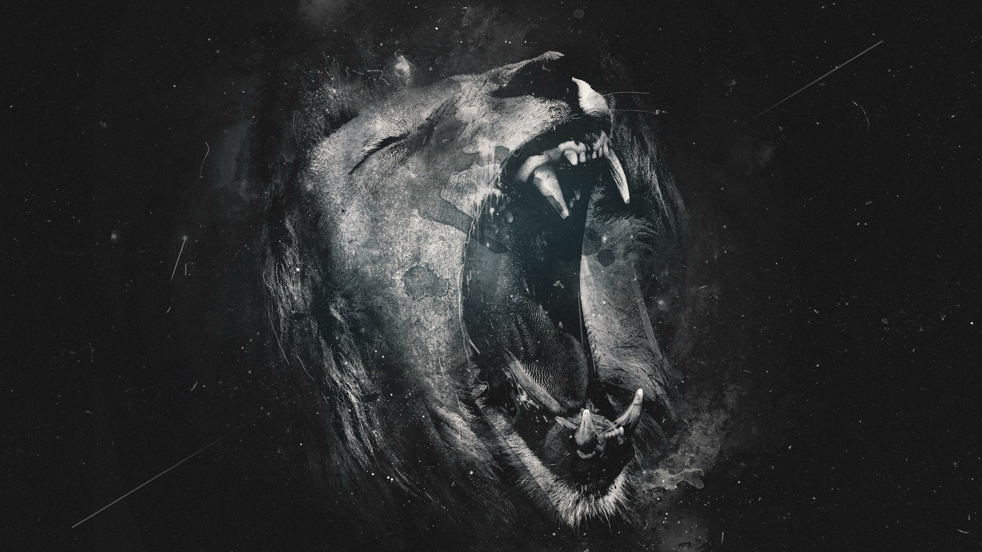 Close-up of a roaring lion's head HD Wallpaper