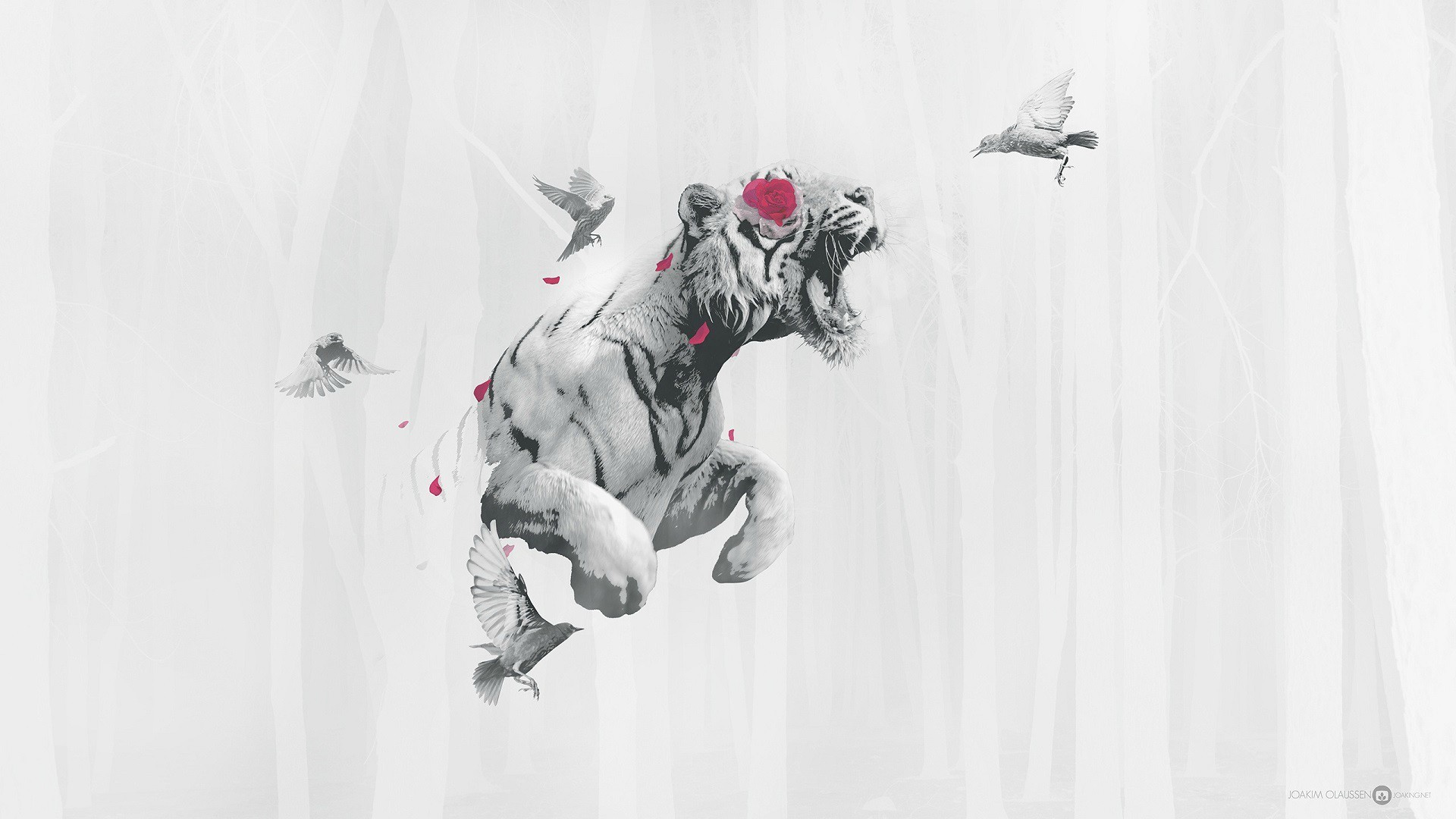 White tiger roaring with birds and petals HD Wallpaper