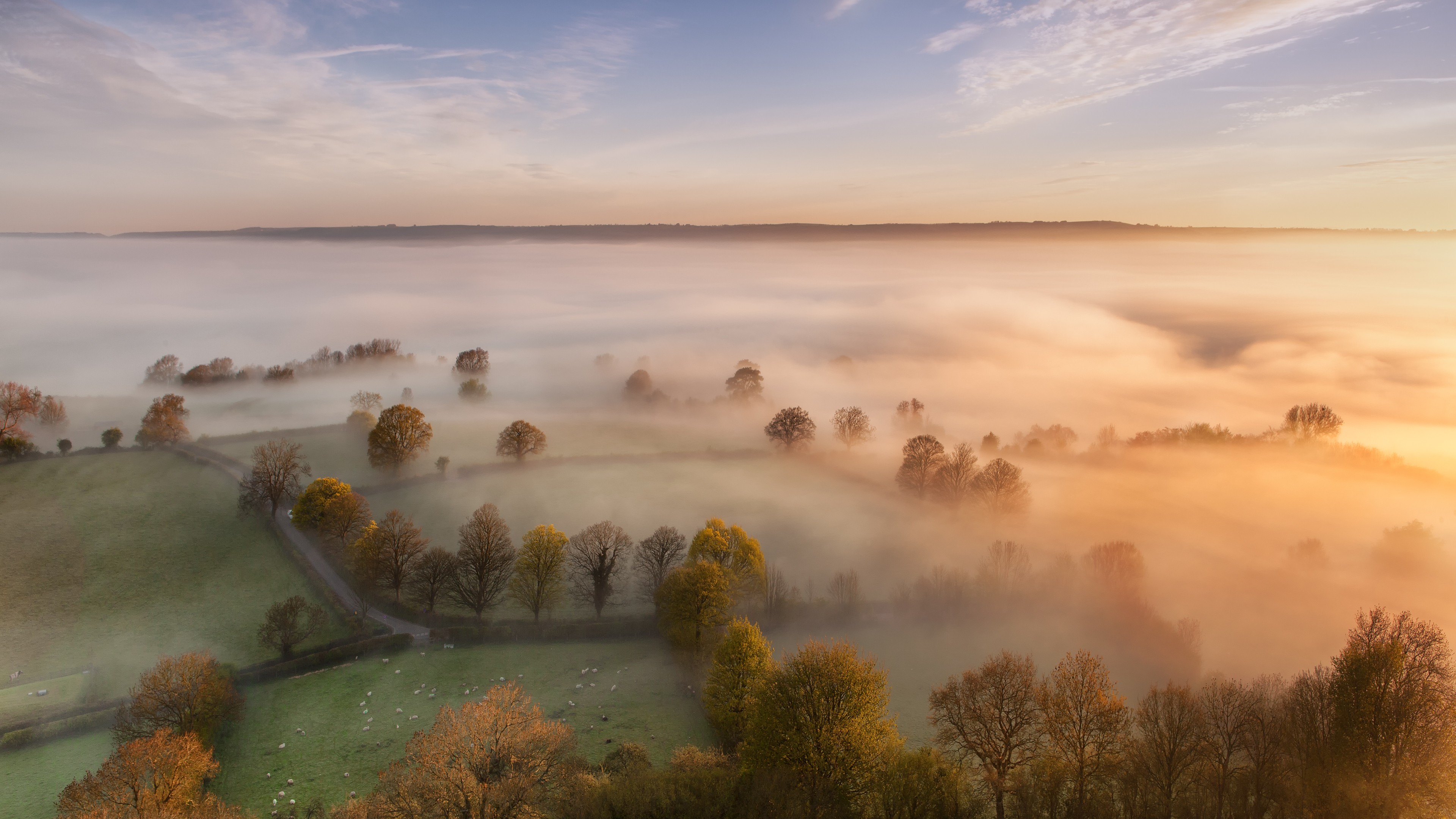 Misty landscape with trees and rolling hills at sunrise HD Wallpaper