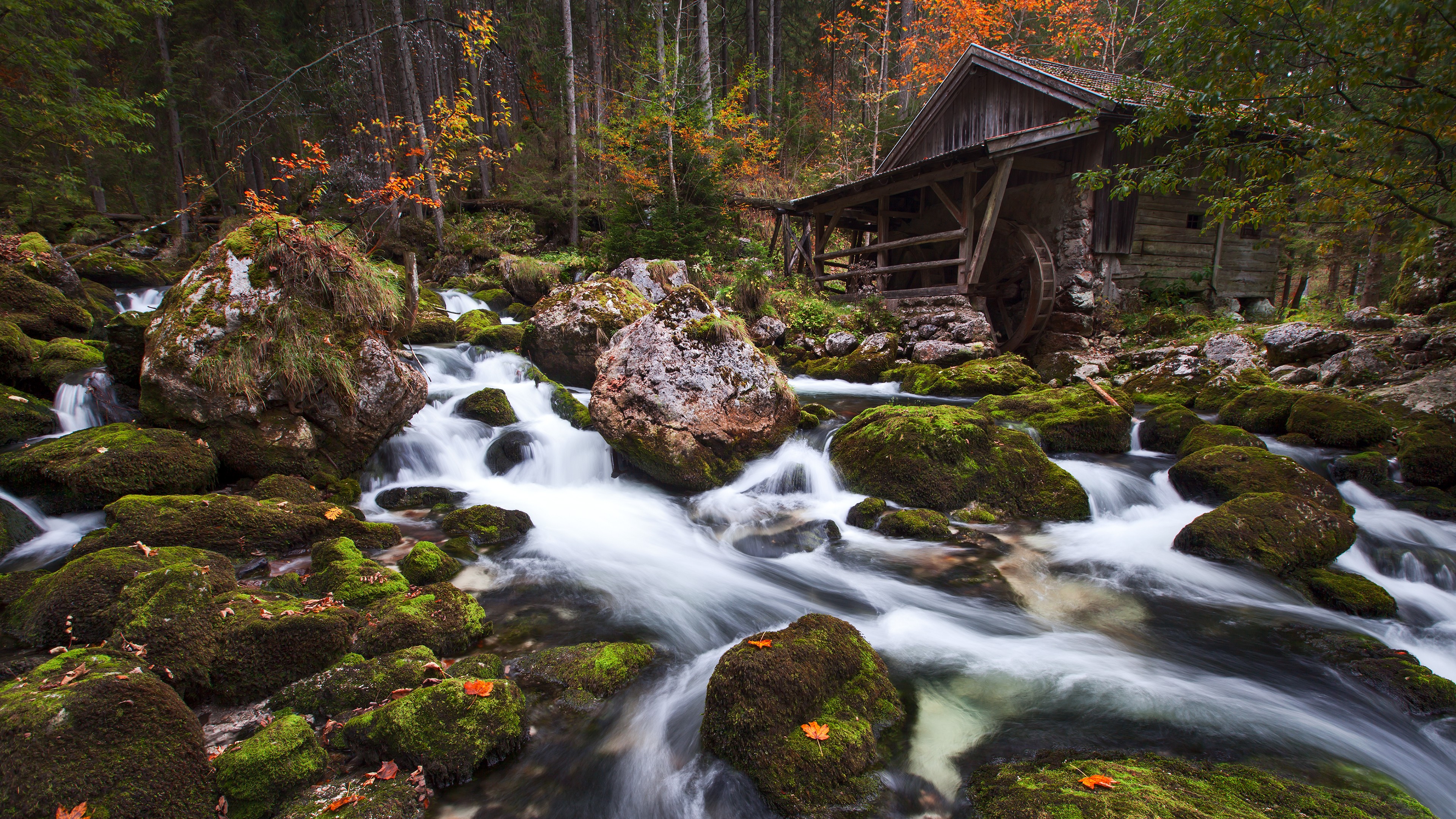 Old mill by a river in a forest HD Wallpaper