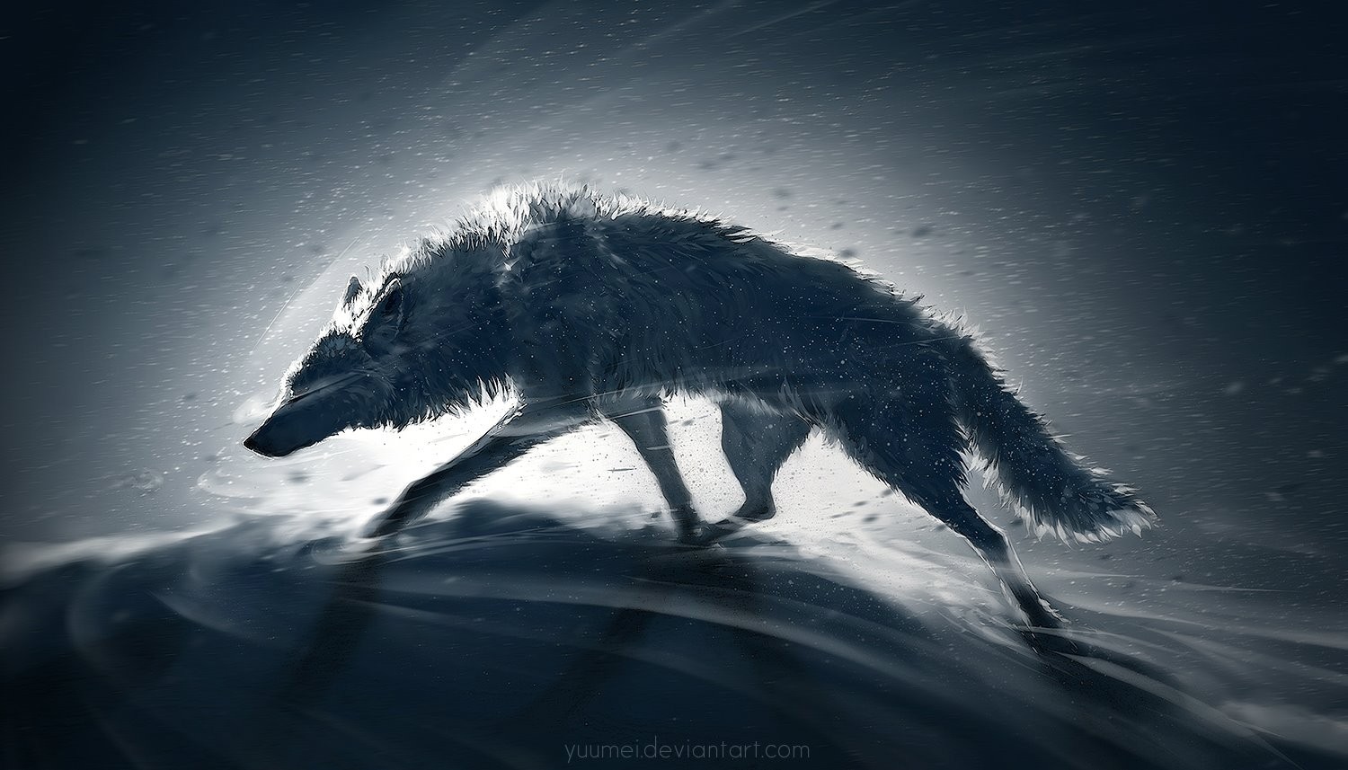A wolf running through snow HD Wallpaper