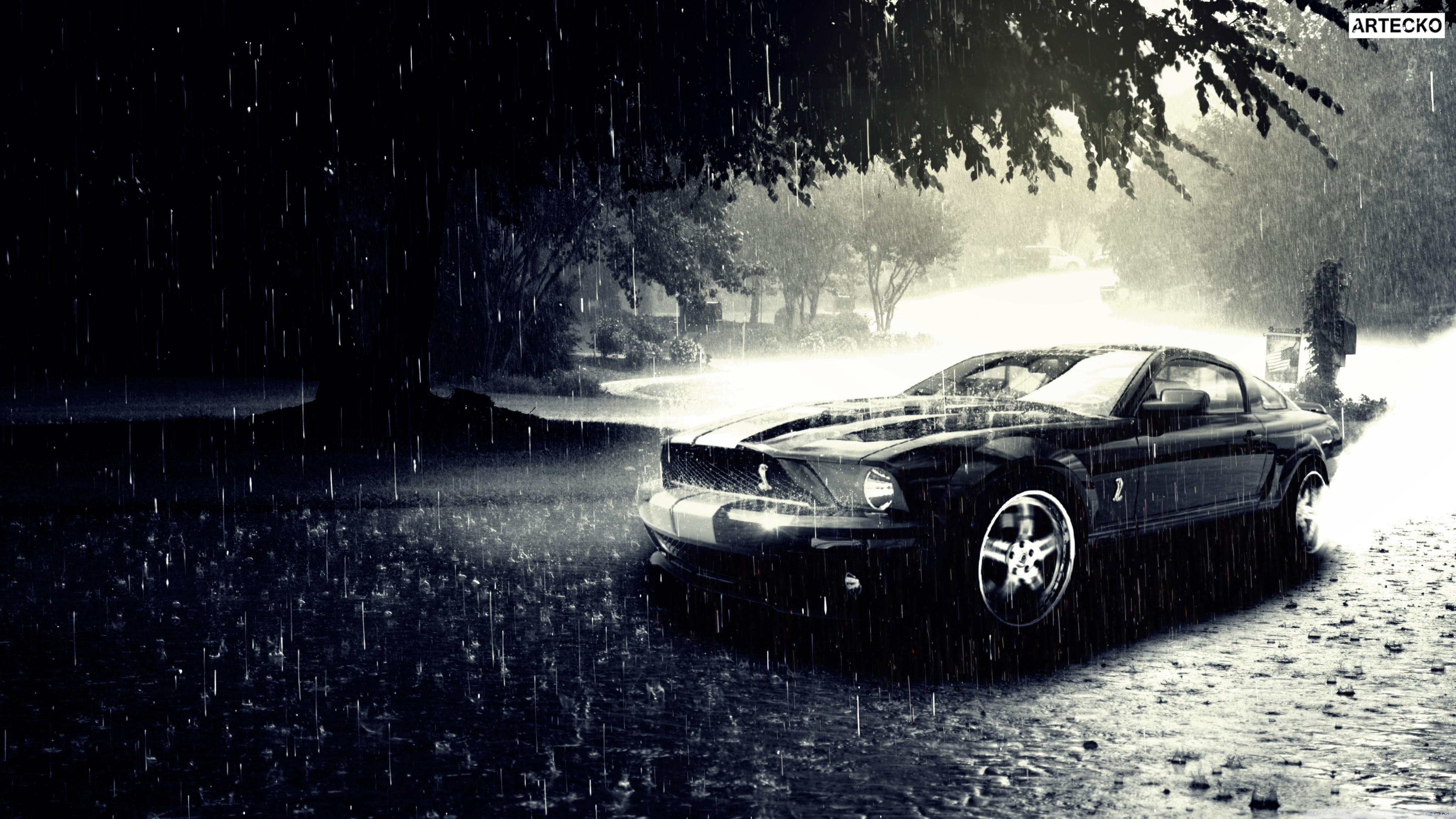 Black Ford Mustang in the rain HD Wallpaper