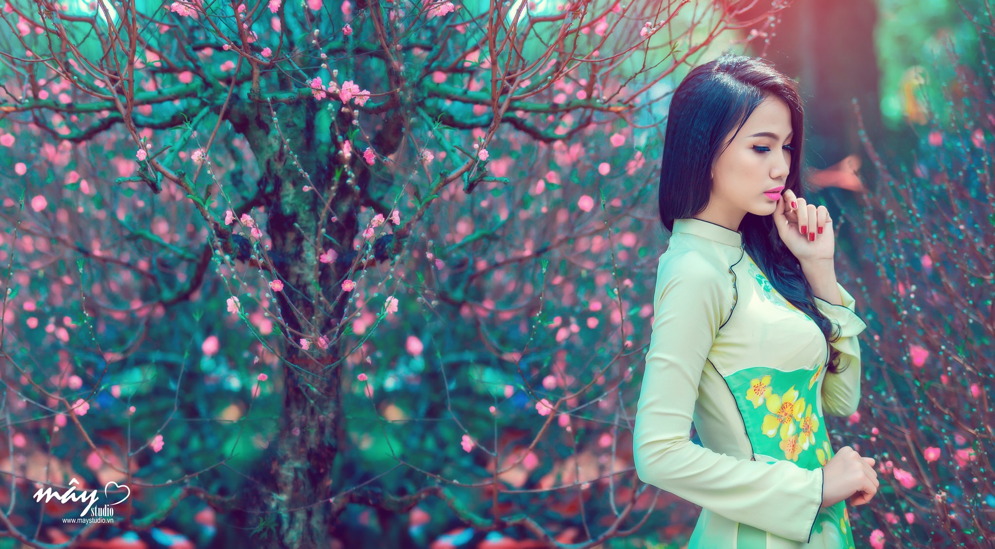 Asian woman in traditional dress near blooming trees HD Wallpaper