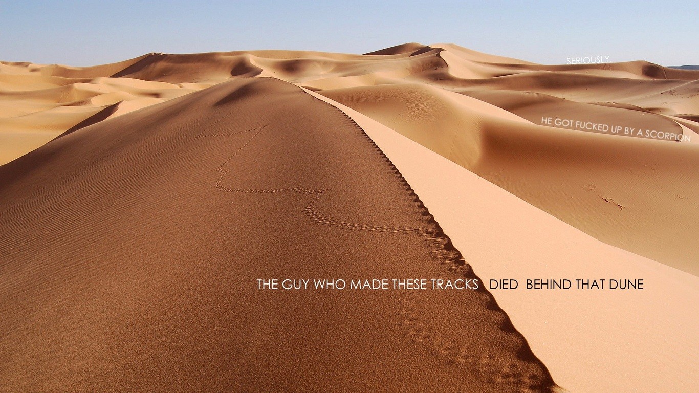 Footprints in the desert dunes HD Wallpaper