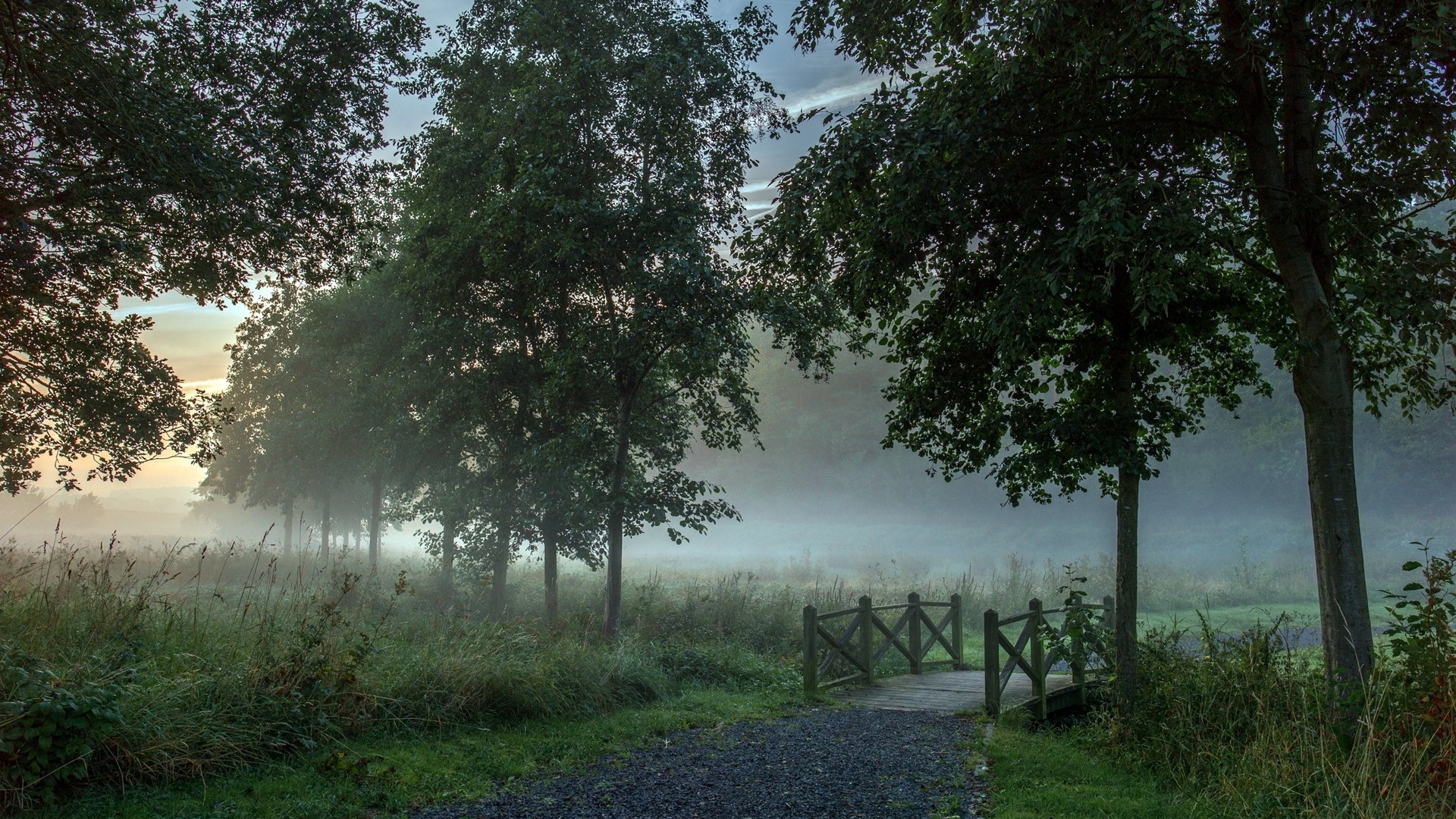 Misty morning path with a wooden bridge and trees HD Wallpaper