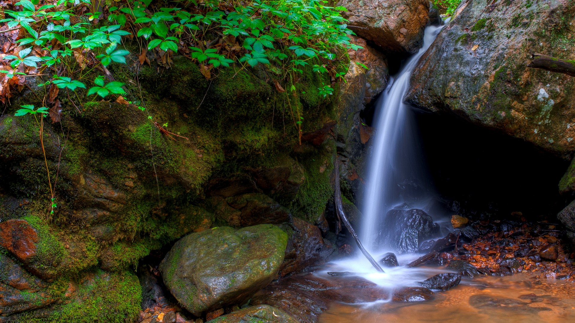Mossy rocks and a small waterfall in a forest HD Wallpaper