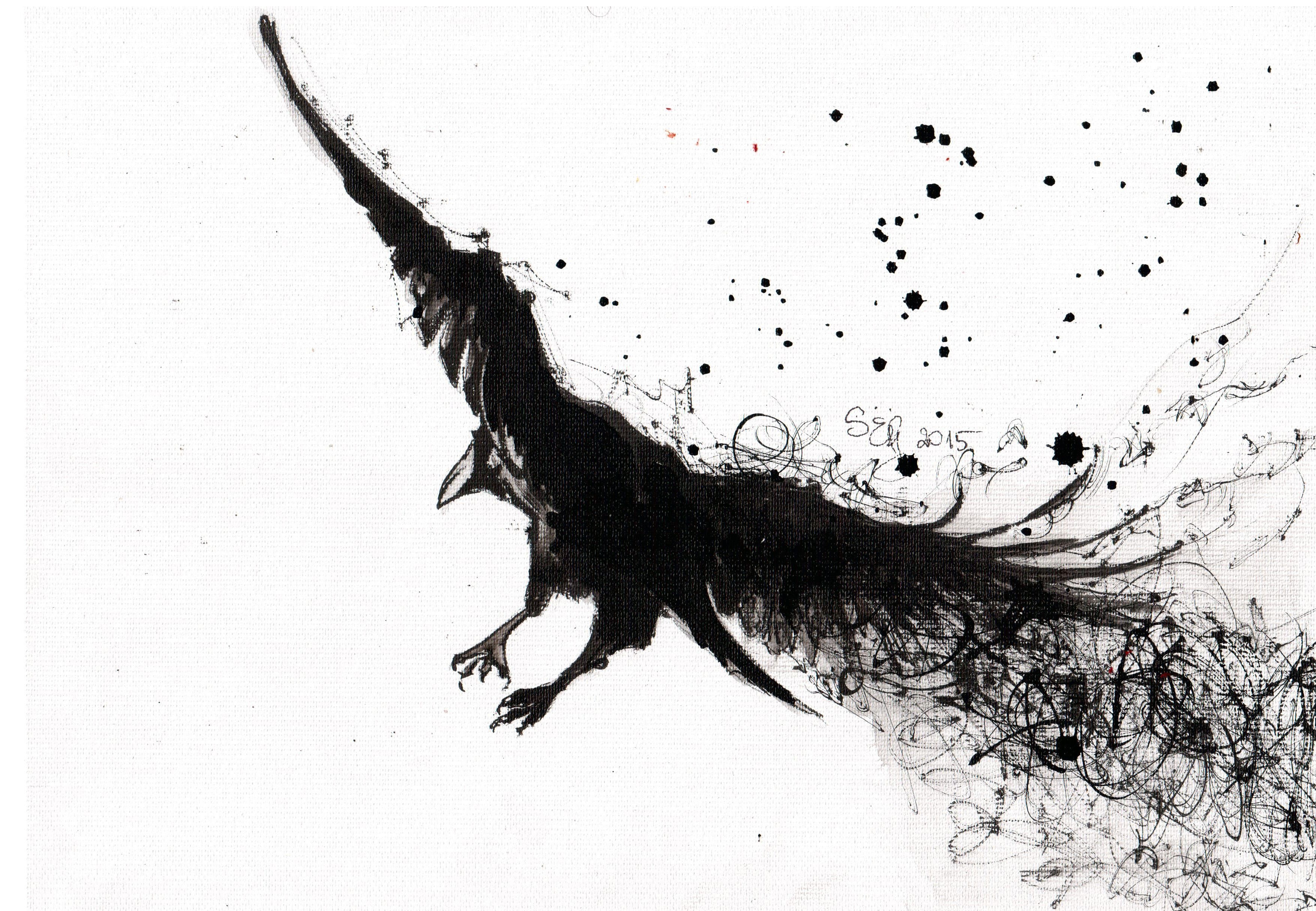Black raven in flight, ink painting HD Wallpaper