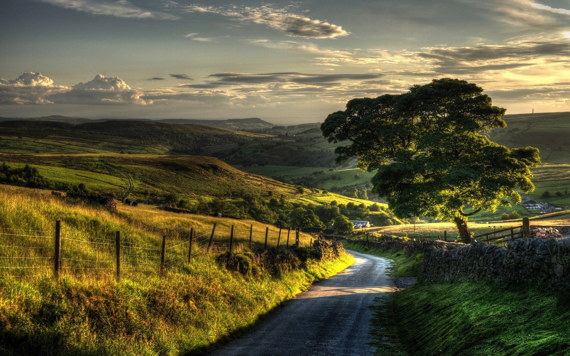 Rural landscape with a winding road and a large tree HD Wallpaper