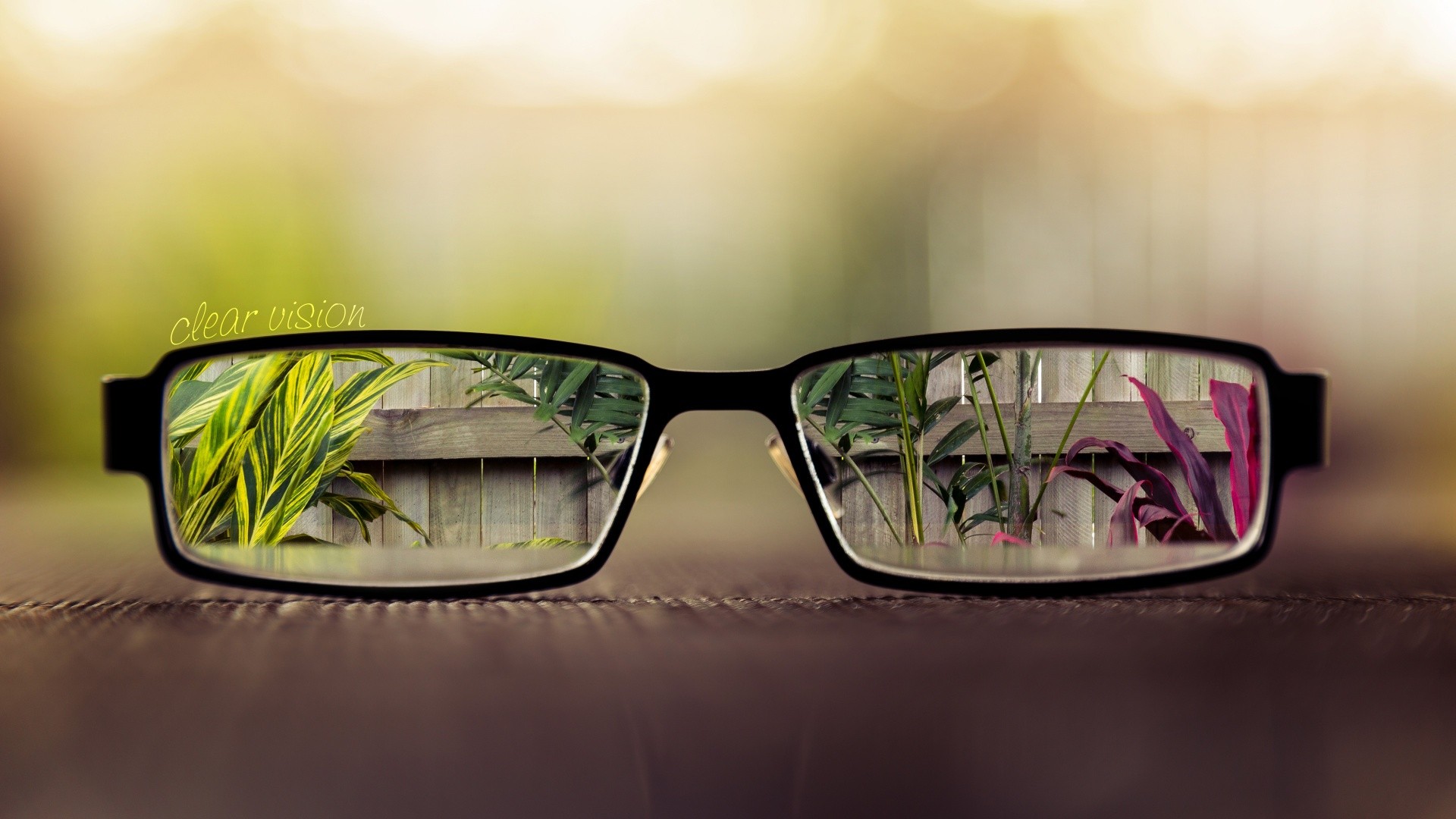 Clear vision through eyeglasses showing plants and fence HD Wallpaper
