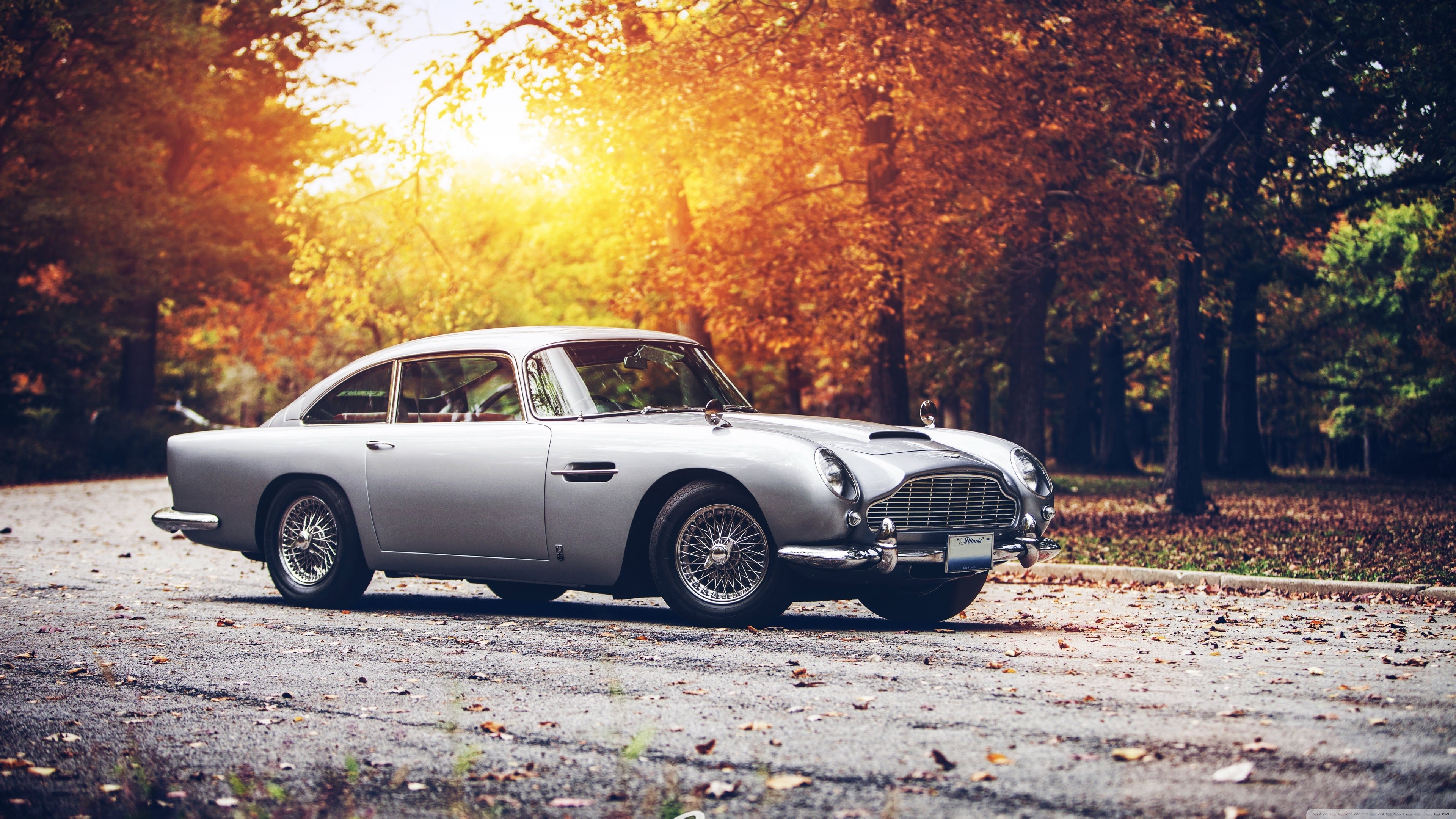 Silver Aston Martin DB5 in Autumn Forest HD Wallpaper