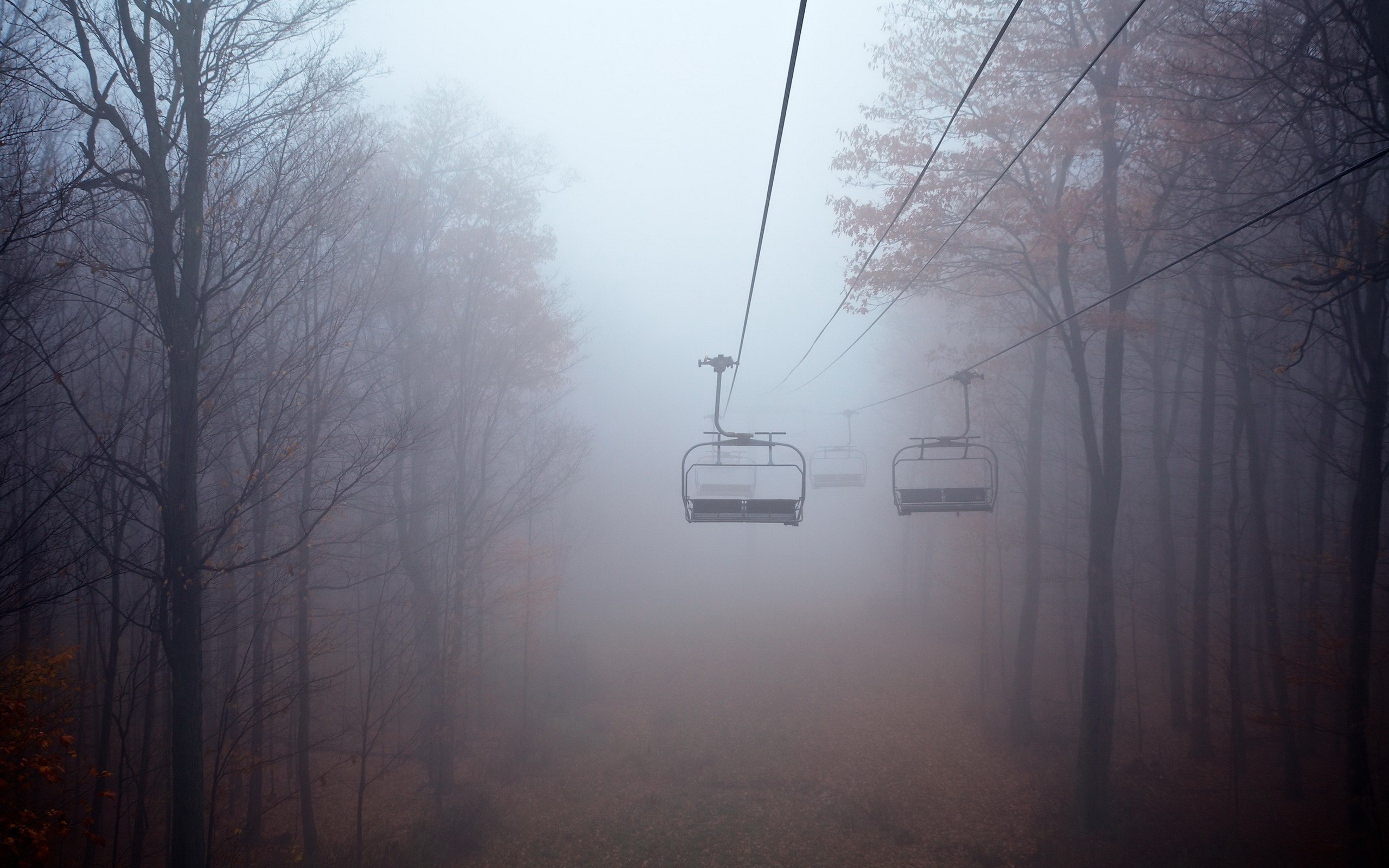 Ski lift chairs in a foggy forest during fall HD Wallpaper