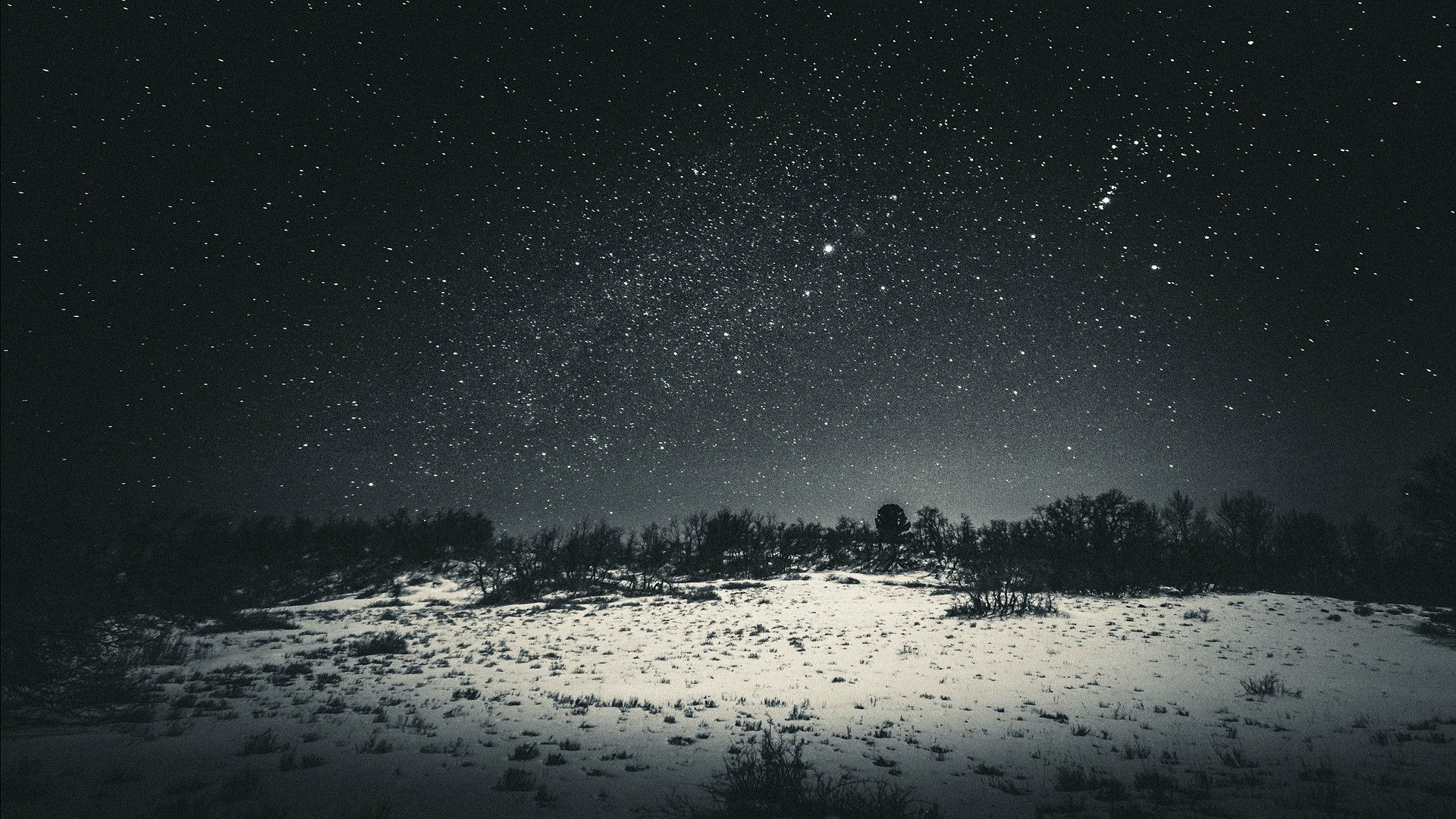Starry night sky over a snowy landscape with trees HD Wallpaper