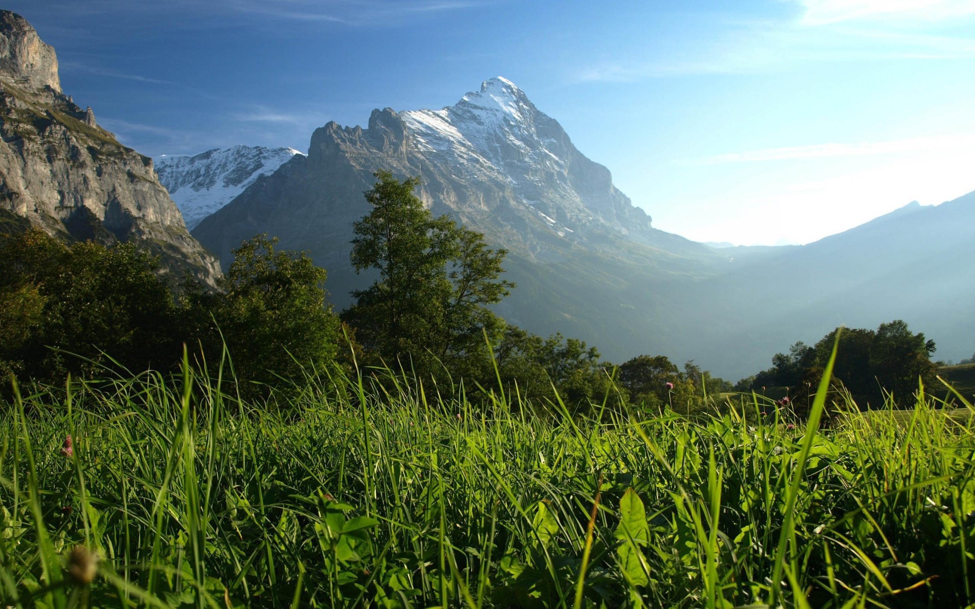 Grassy meadow with snowy mountain peak in background HD Wallpaper