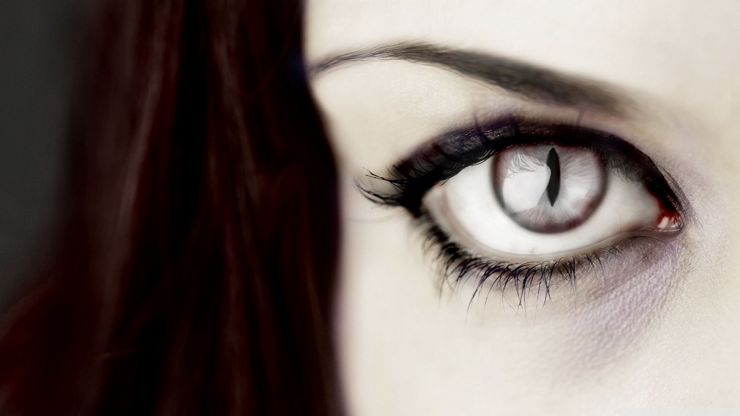 Close-up of a woman's eye with a cat-like pupil HD Wallpaper