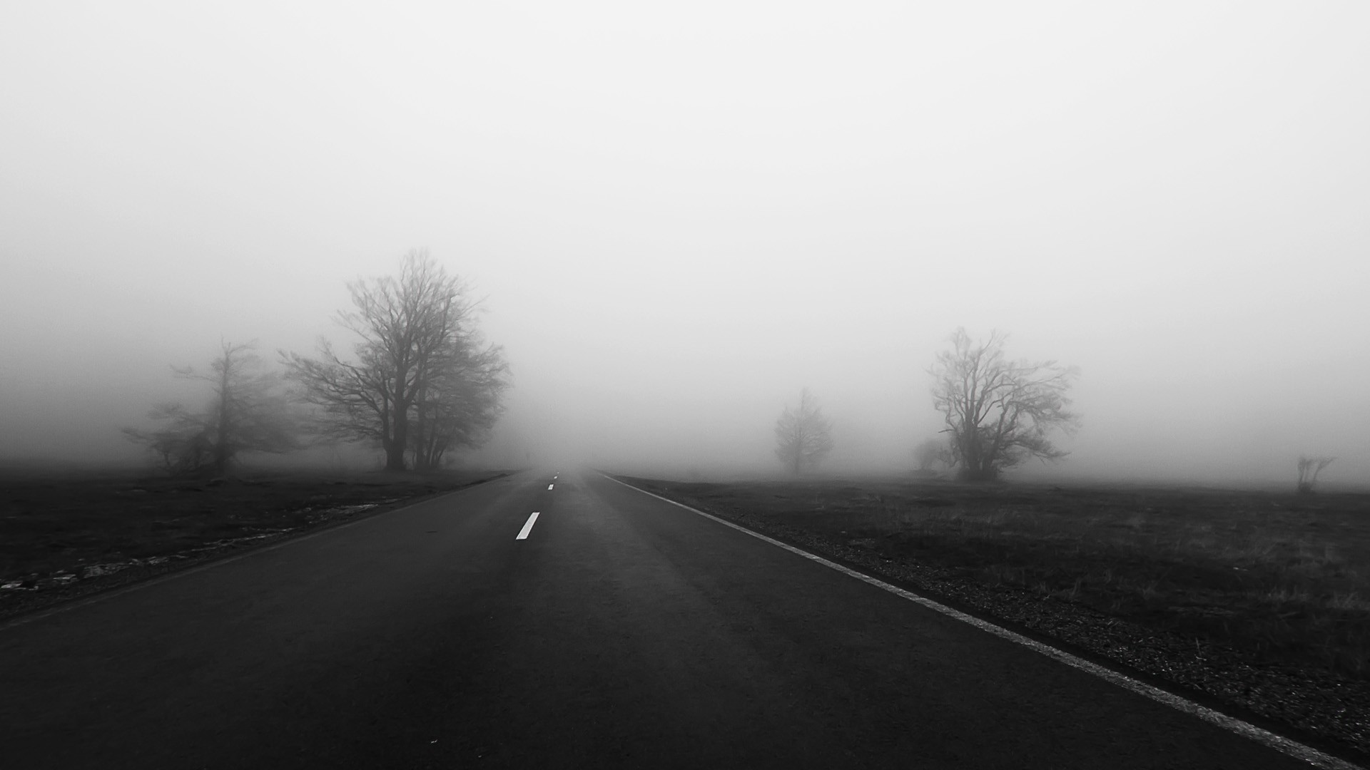 A foggy road with trees on the side HD Wallpaper