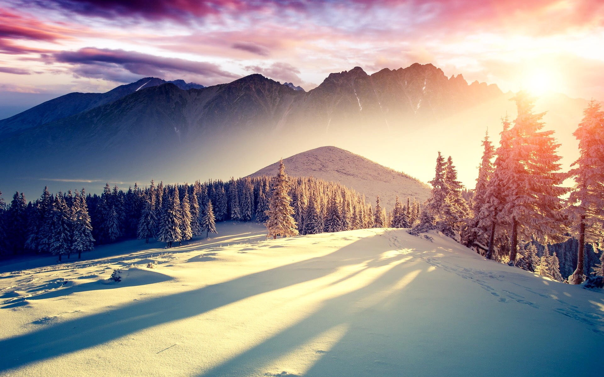 Snowy mountain landscape with pine trees at sunset HD Wallpaper