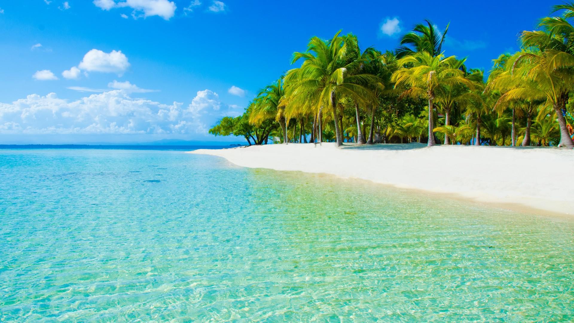 Tropical island beach with palm trees and clear turquoise water HD Wallpaper