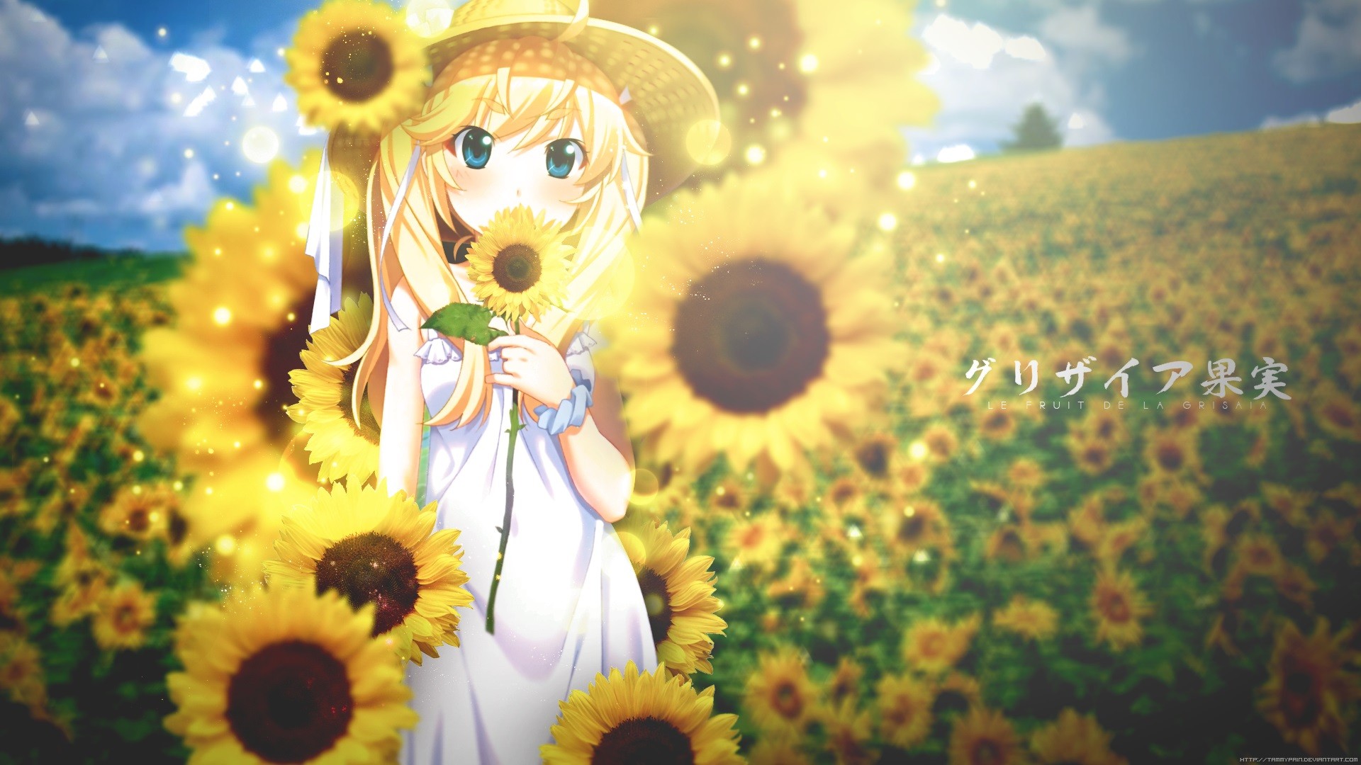 Michiru Matsushima in a sunflower field HD Wallpaper