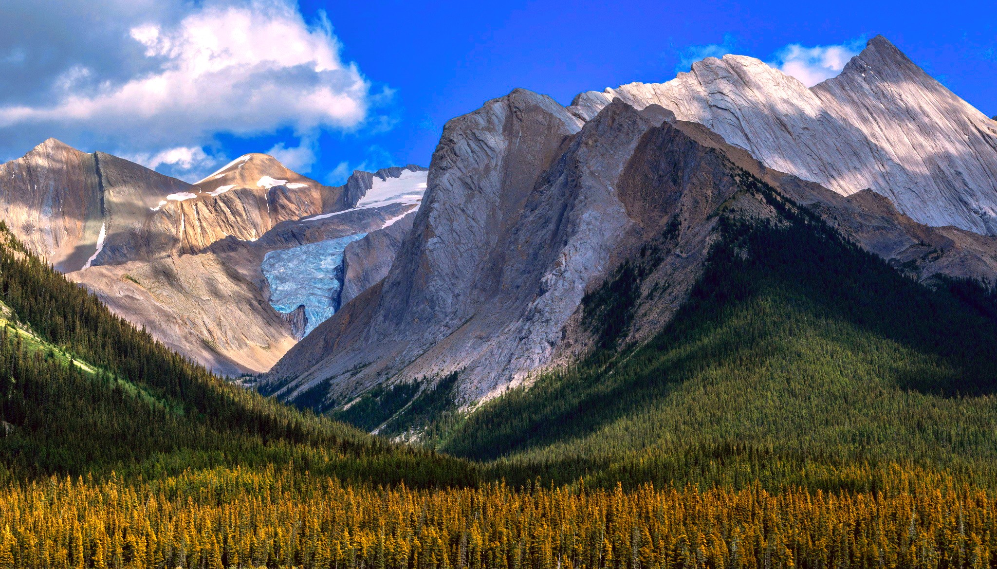Mountains with a glacier and forests HD Wallpaper