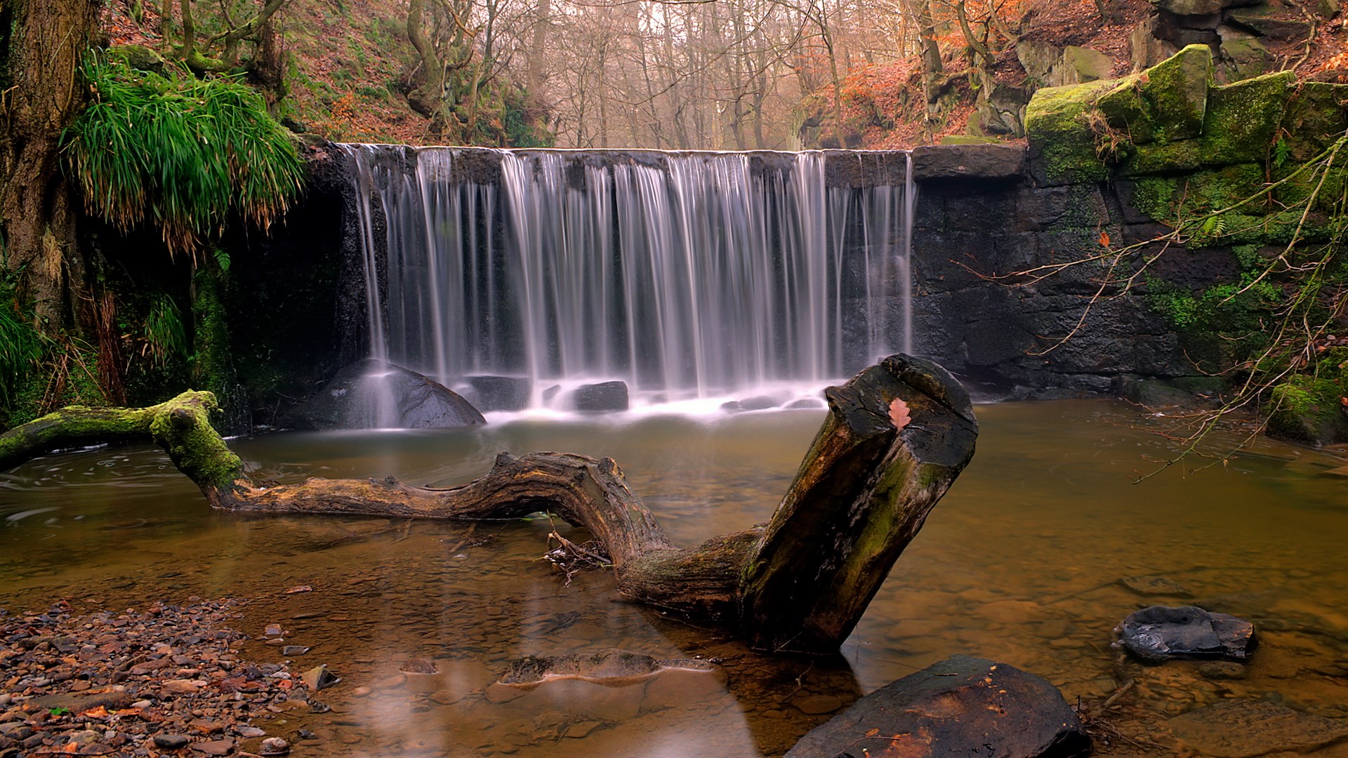 Waterfall in a forest with a fallen log HD Wallpaper