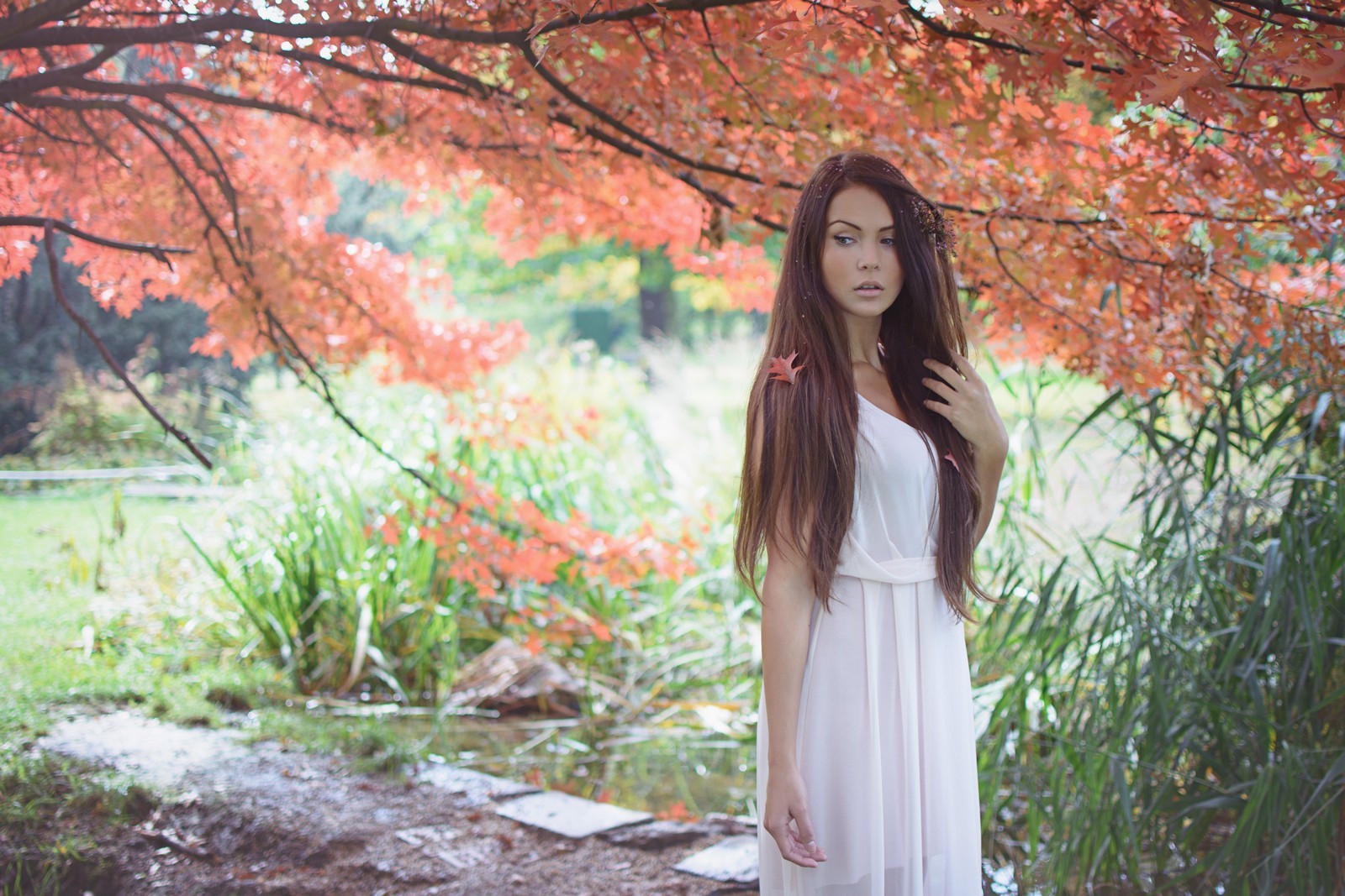 Woman in white dress in autumn nature HD Wallpaper